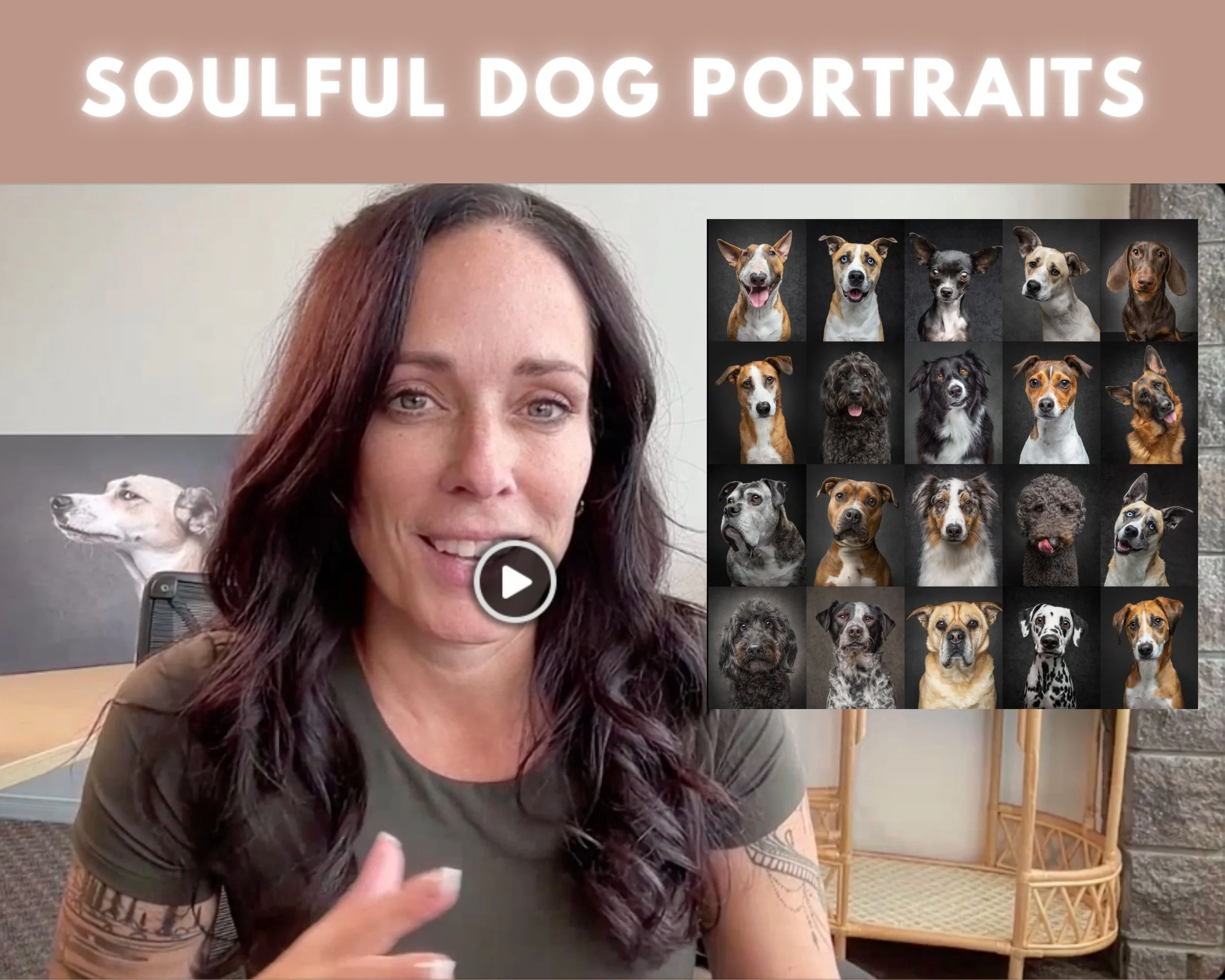 Dog photography tutorial