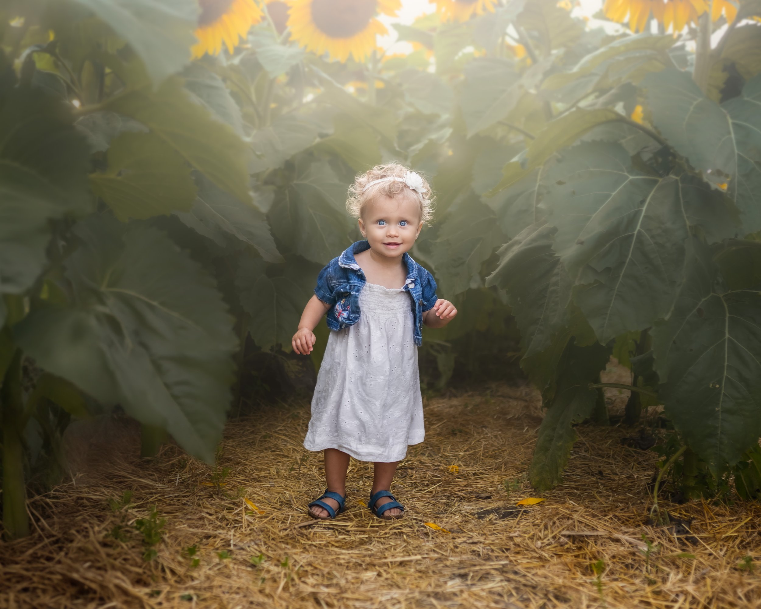 A young girl with curly blonde hair, blue eyes, wearing a white dress, denim jacket, and blue sandals, standing on dirt with straw, surrounded by large green sunflower leaves.