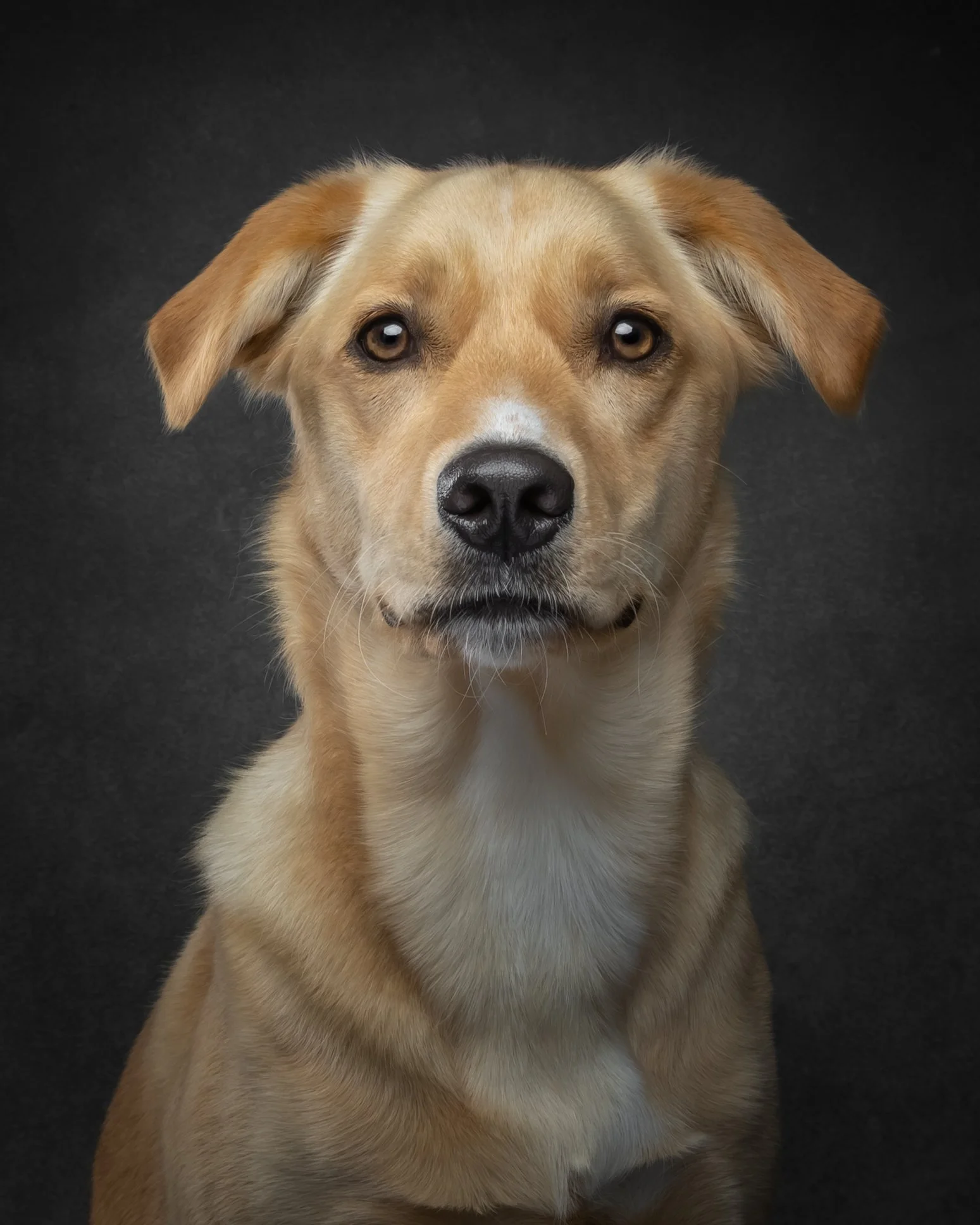 MAPLE--5.jpg