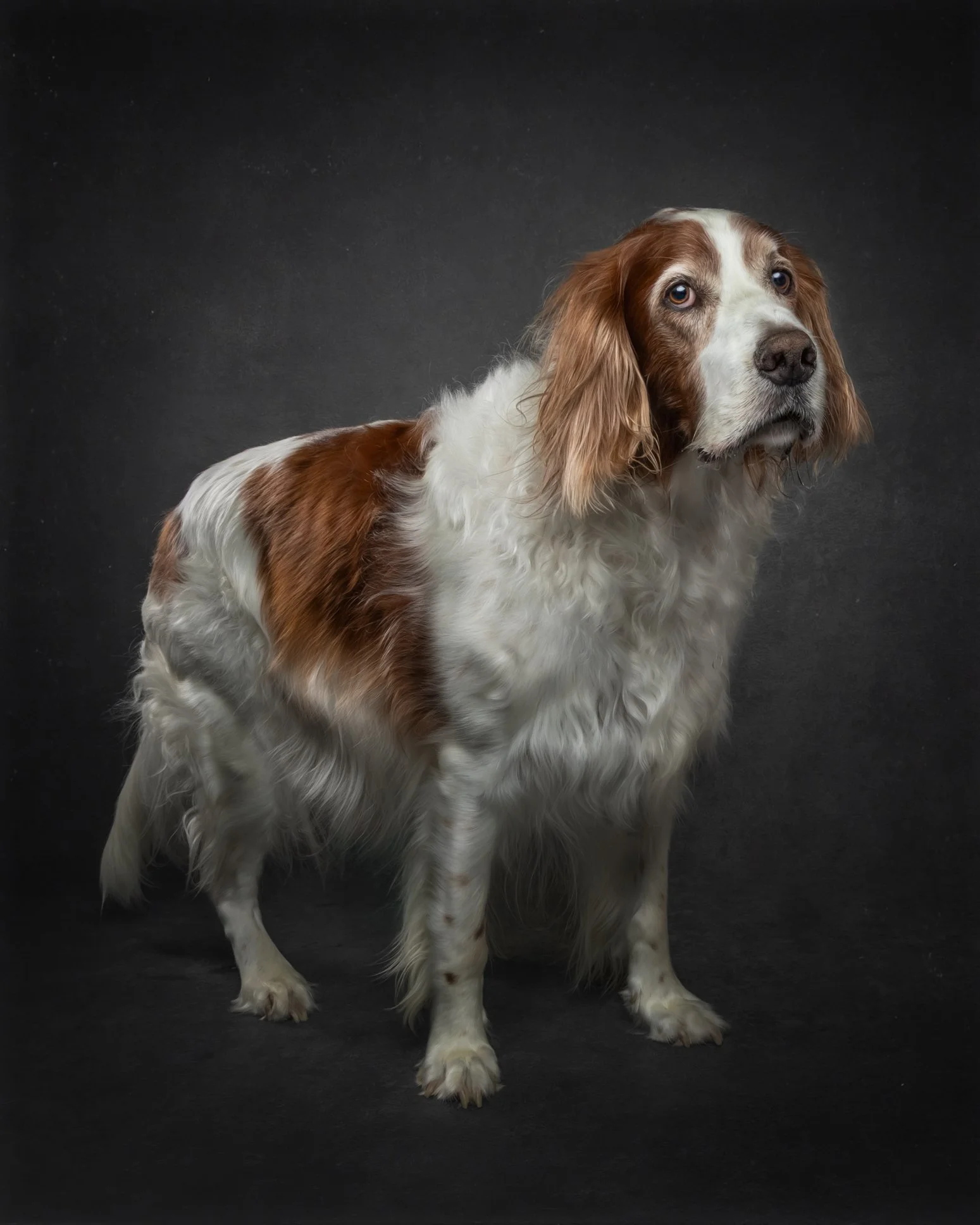FINNIGAN--3.jpg