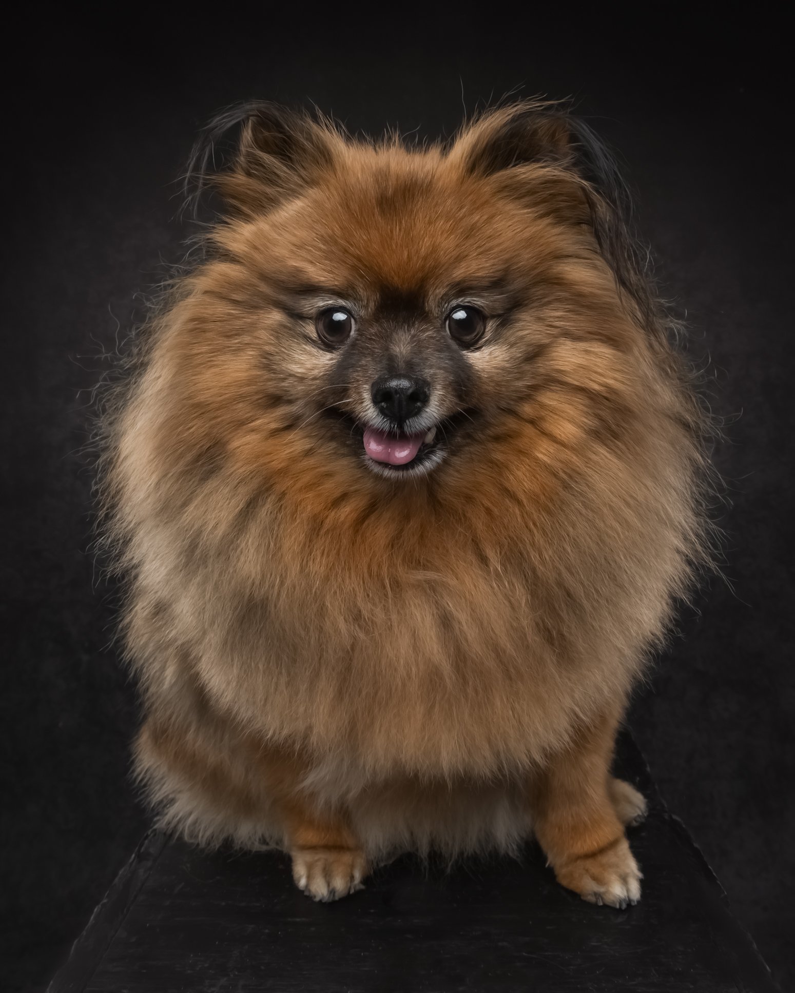 CHEWIE--5.jpg