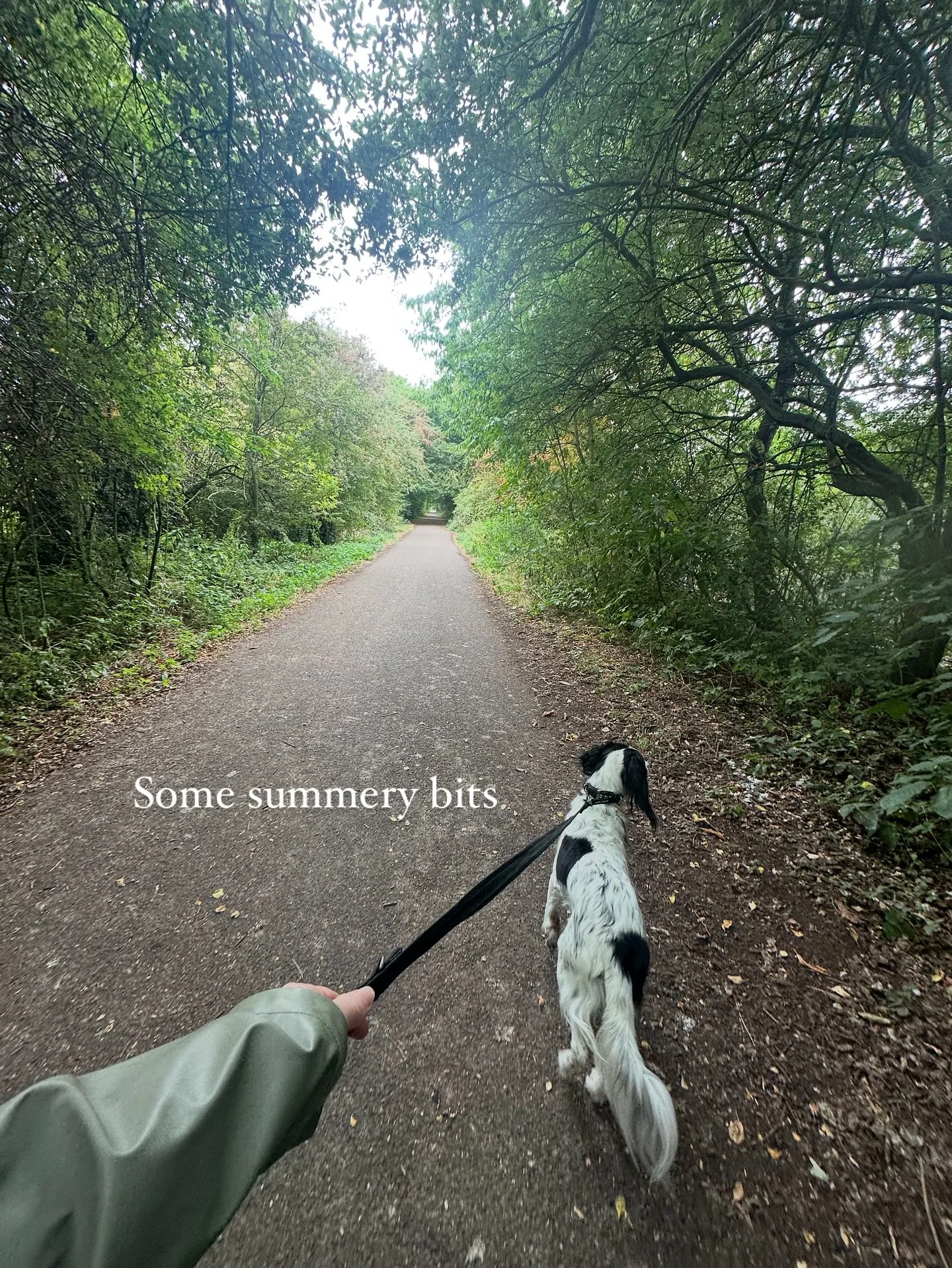 Summer juggle tings.