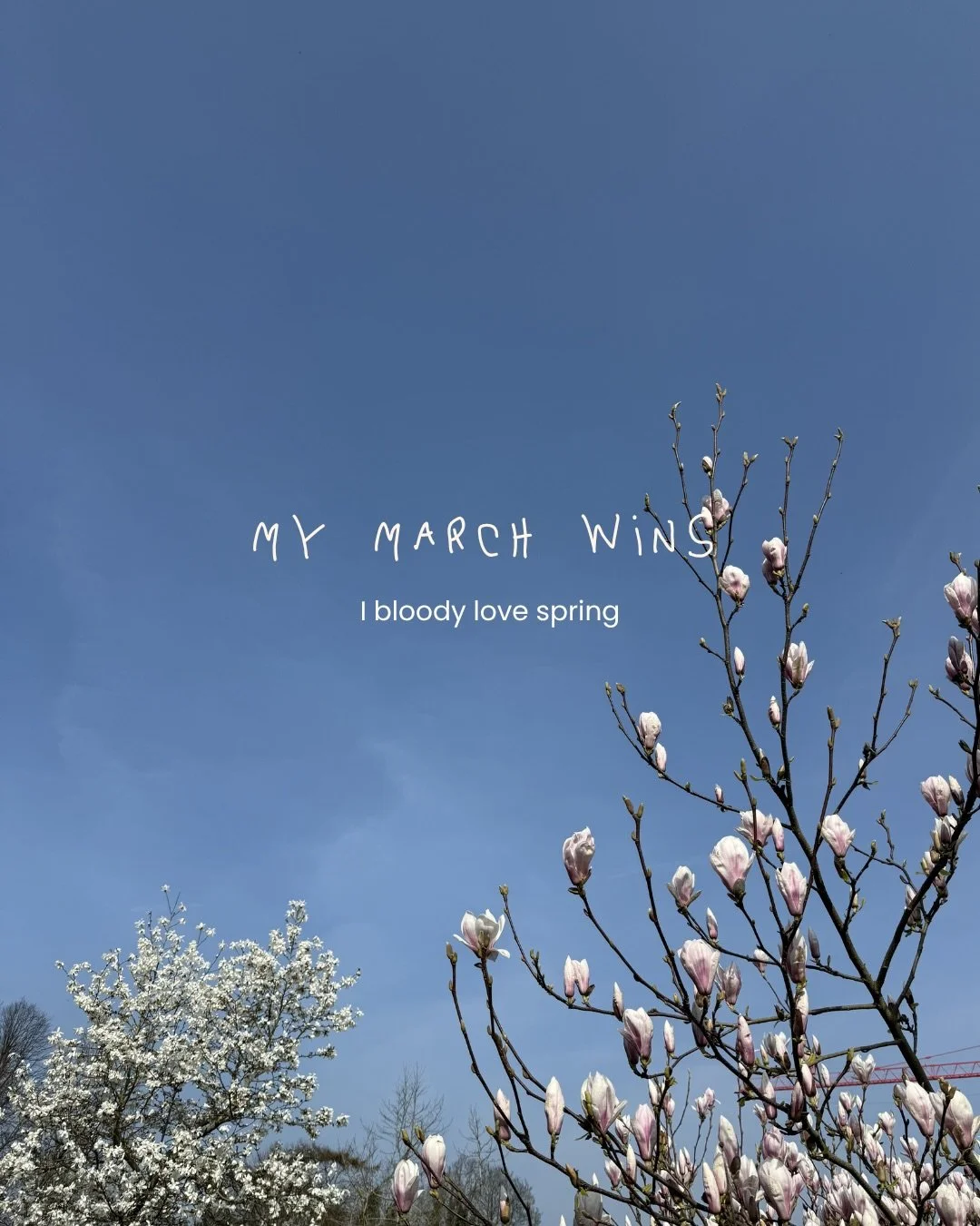 The the world is still heavy but March is nice isn&rsquo;t it? All this good stuff, birthdays and Mother&rsquo;s Day too and there&rsquo;s even a couple of days to go. Any wins for you?