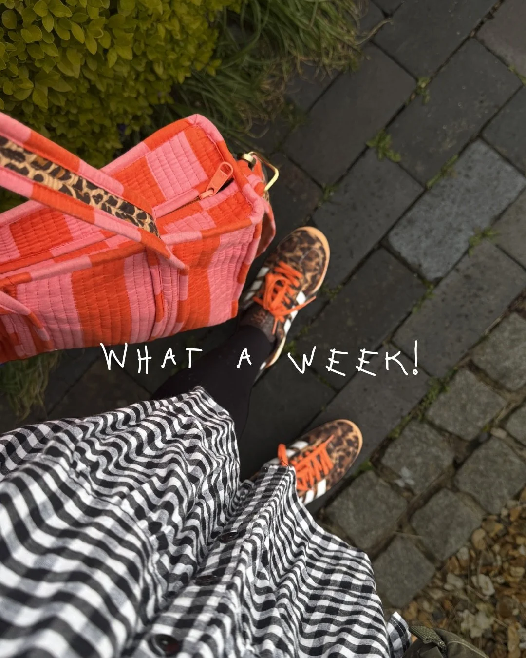 What a week! 🖤

Honestly, sometimes the best content is just your actual life. So here&rsquo;s mine this week 👇

Monday 🖤 Client catch ups, edits and scheduling from the garden with a brew, prep for the week ahead.

Tuesday 🖤 In the office with m