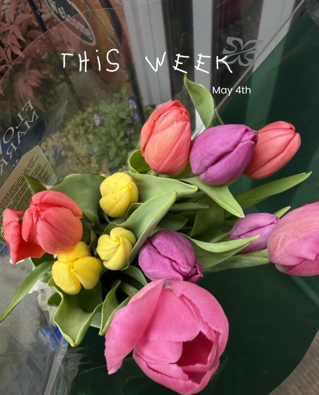 May the 4th be with you&hellip; 🌷

How&rsquo;s your week been?