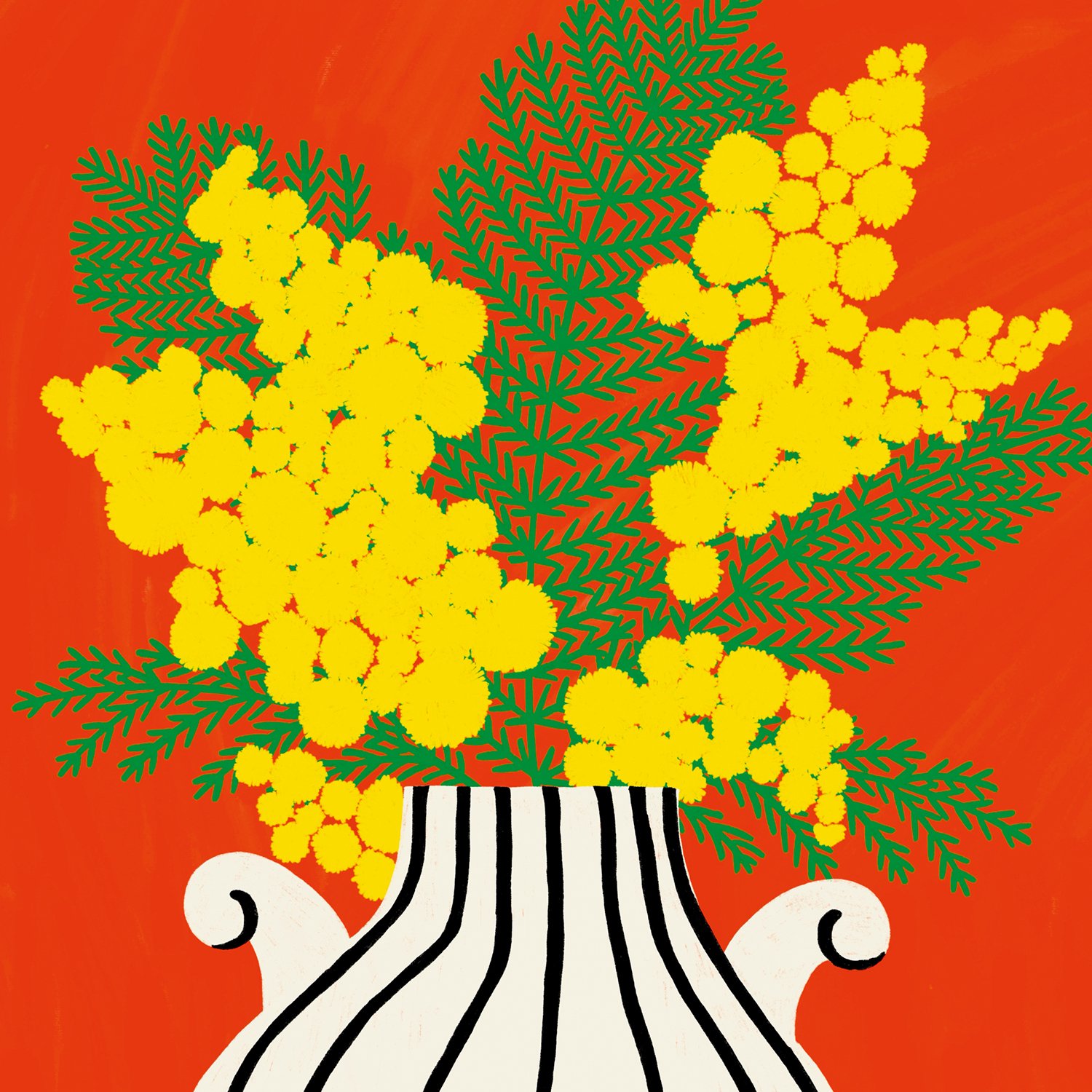 BOUTIQUE_ILLUSTRATION_MIMOSA_PIMENTMARTIN01.jpg