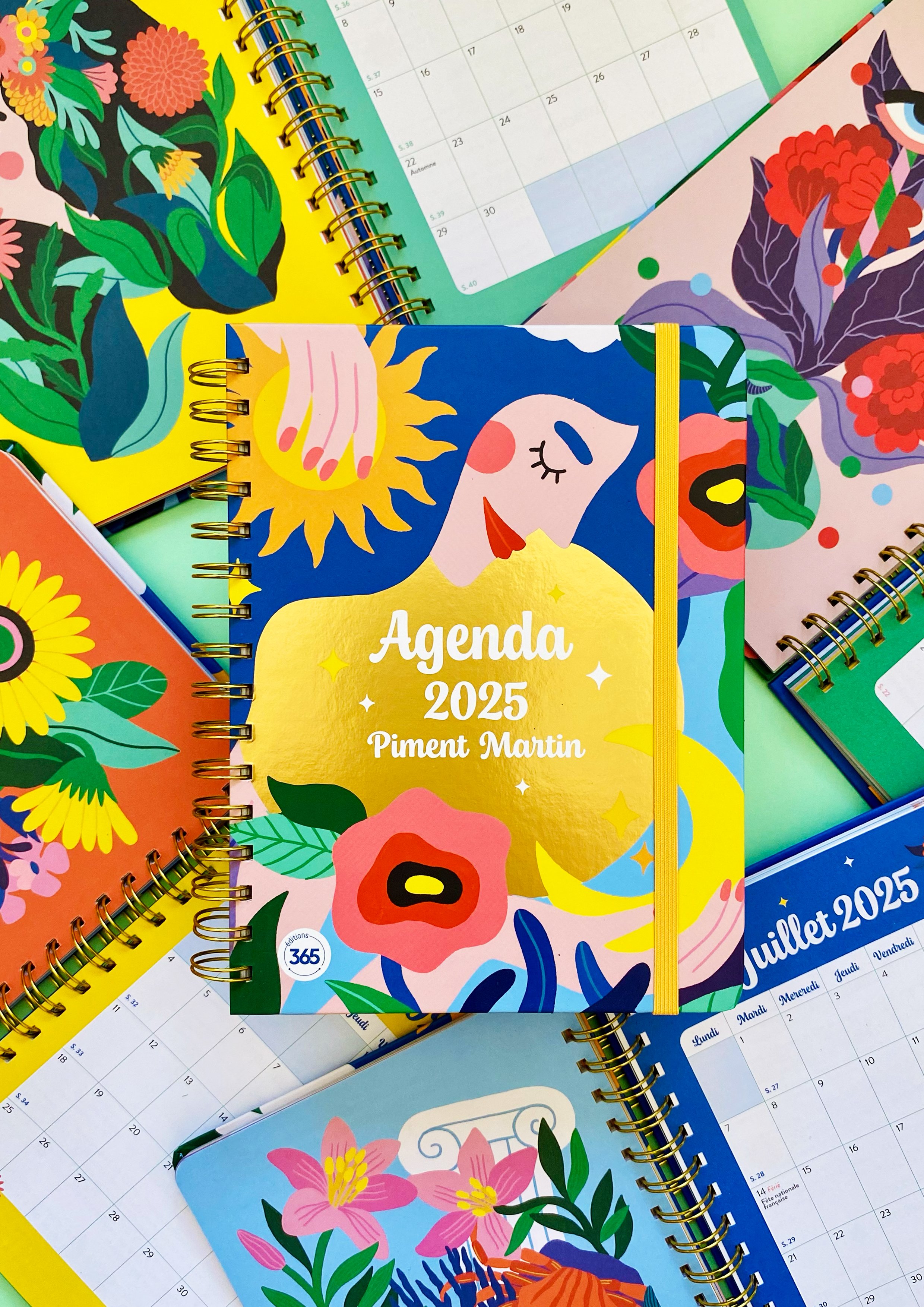 AGENDA_HACHETTE_PIMENTMARTIN_ILLUSTRATION_01.jpg