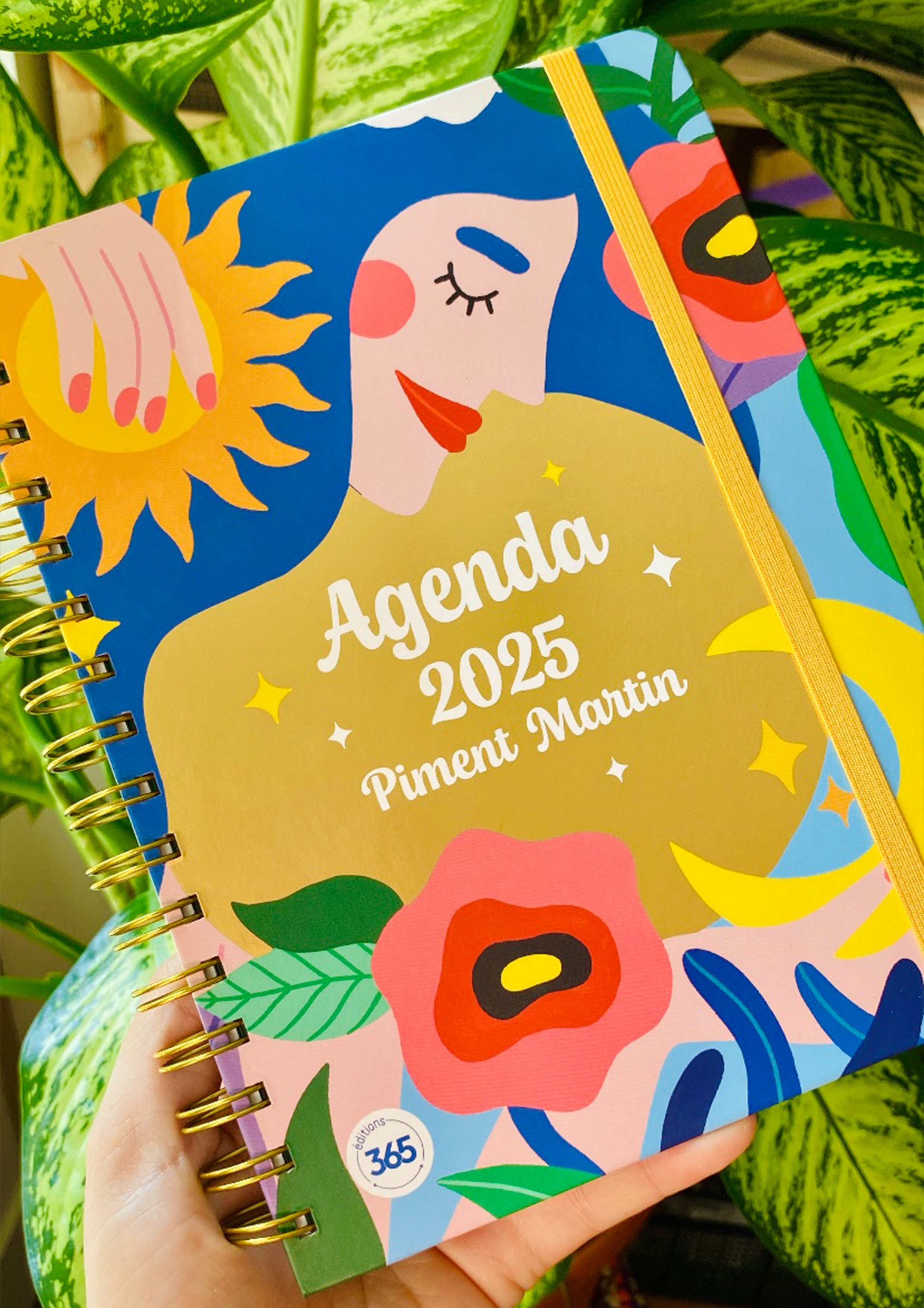 AGENDA_HACHETTE_PIMENTMARTIN_ILLUSTRATION_06.jpg