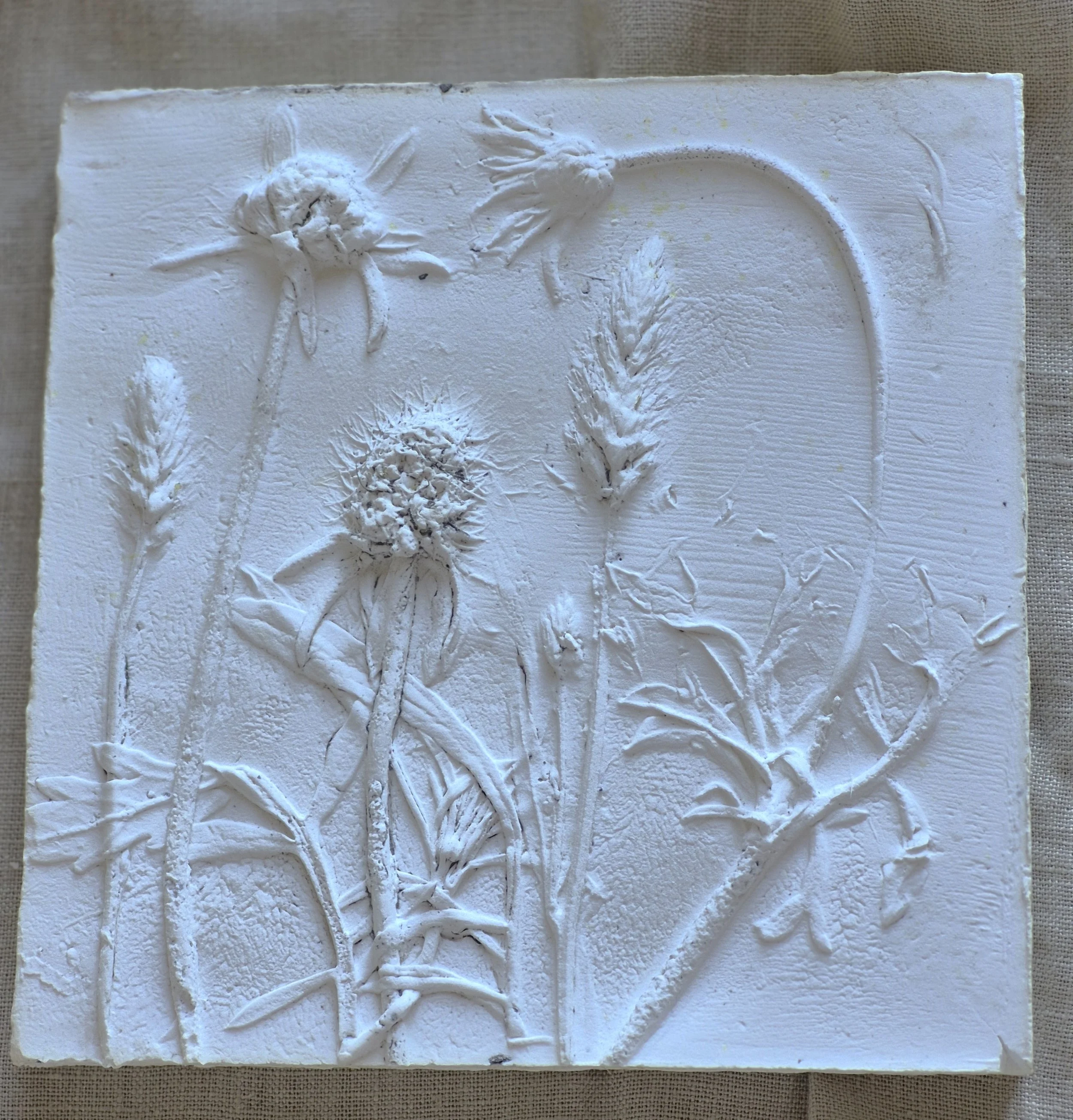 Botanical plaster cast - scabious 1.jpg