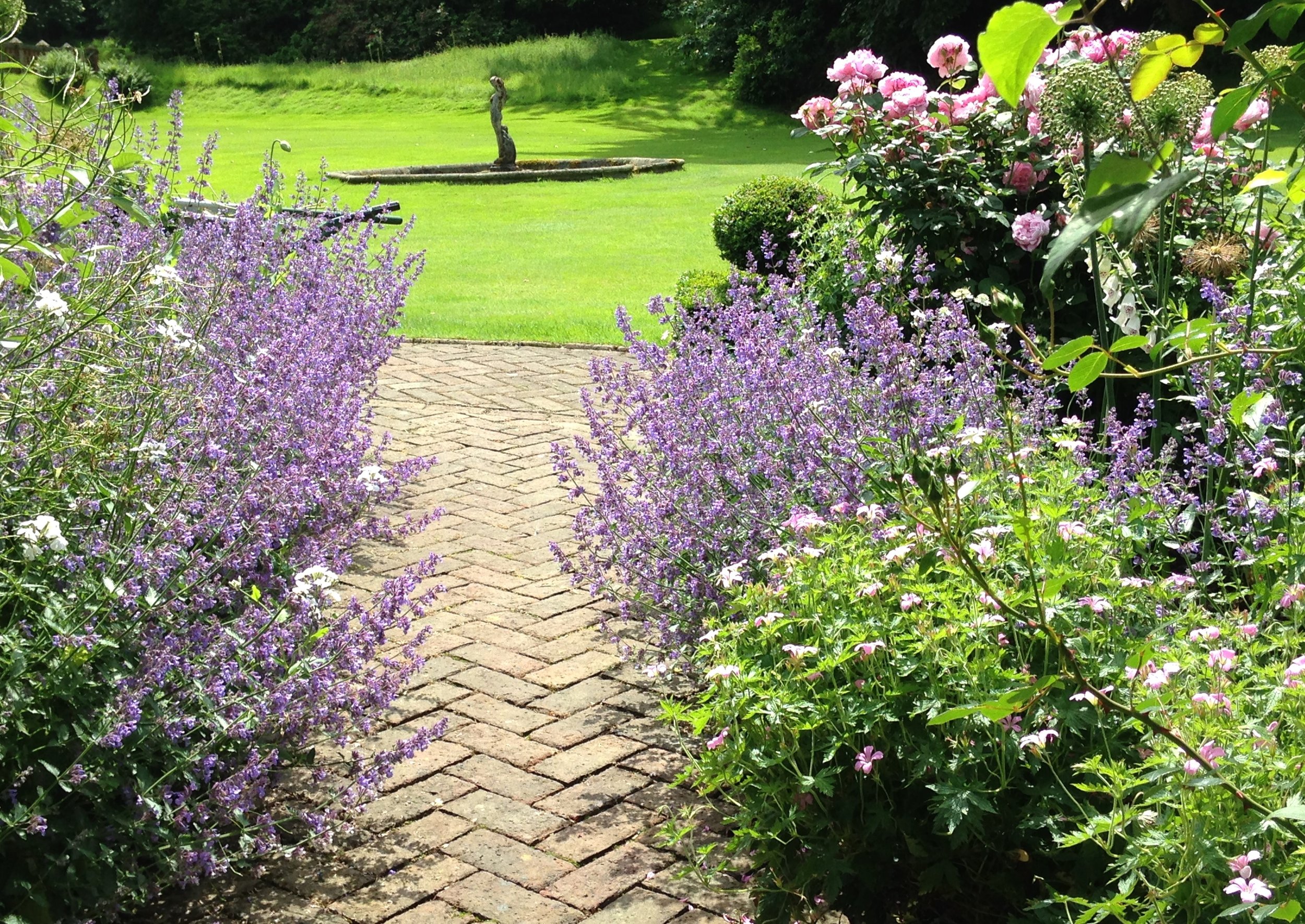 perennial pathway- .JPG