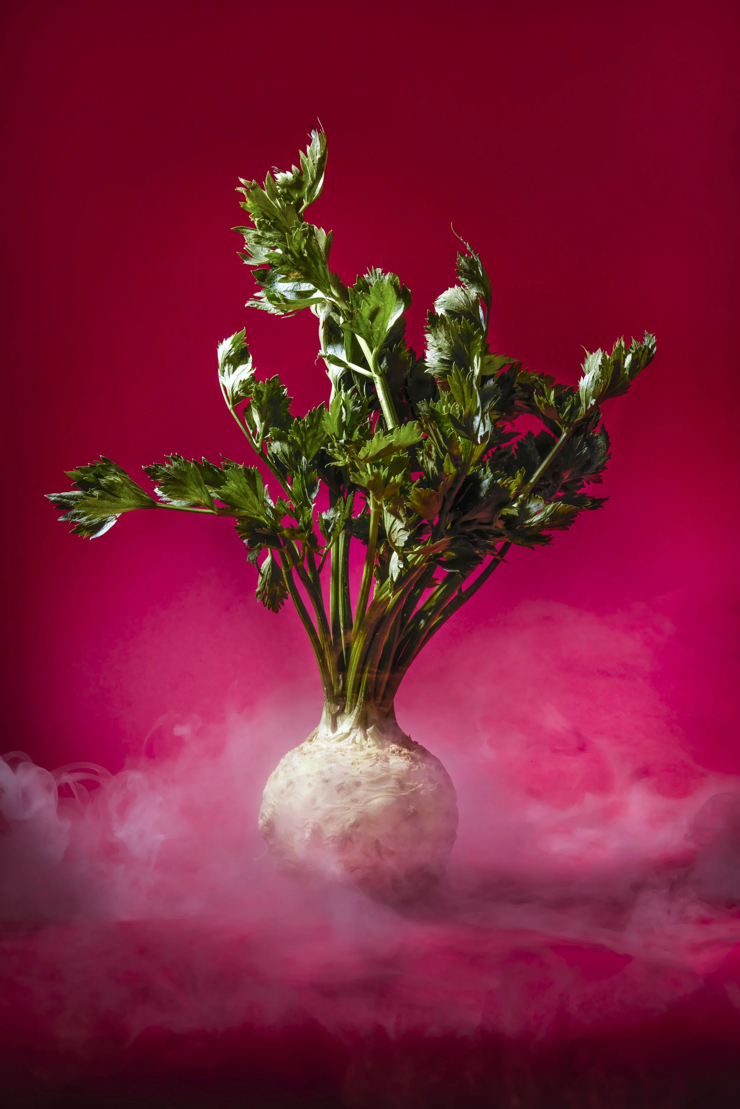 theatre-jorat-05-bis copie.jpg