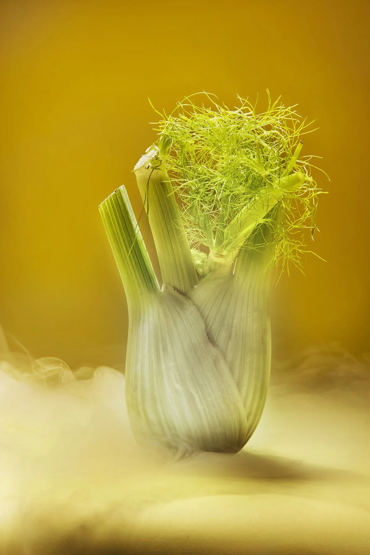 theatre-jorat-04-bis copie.jpg