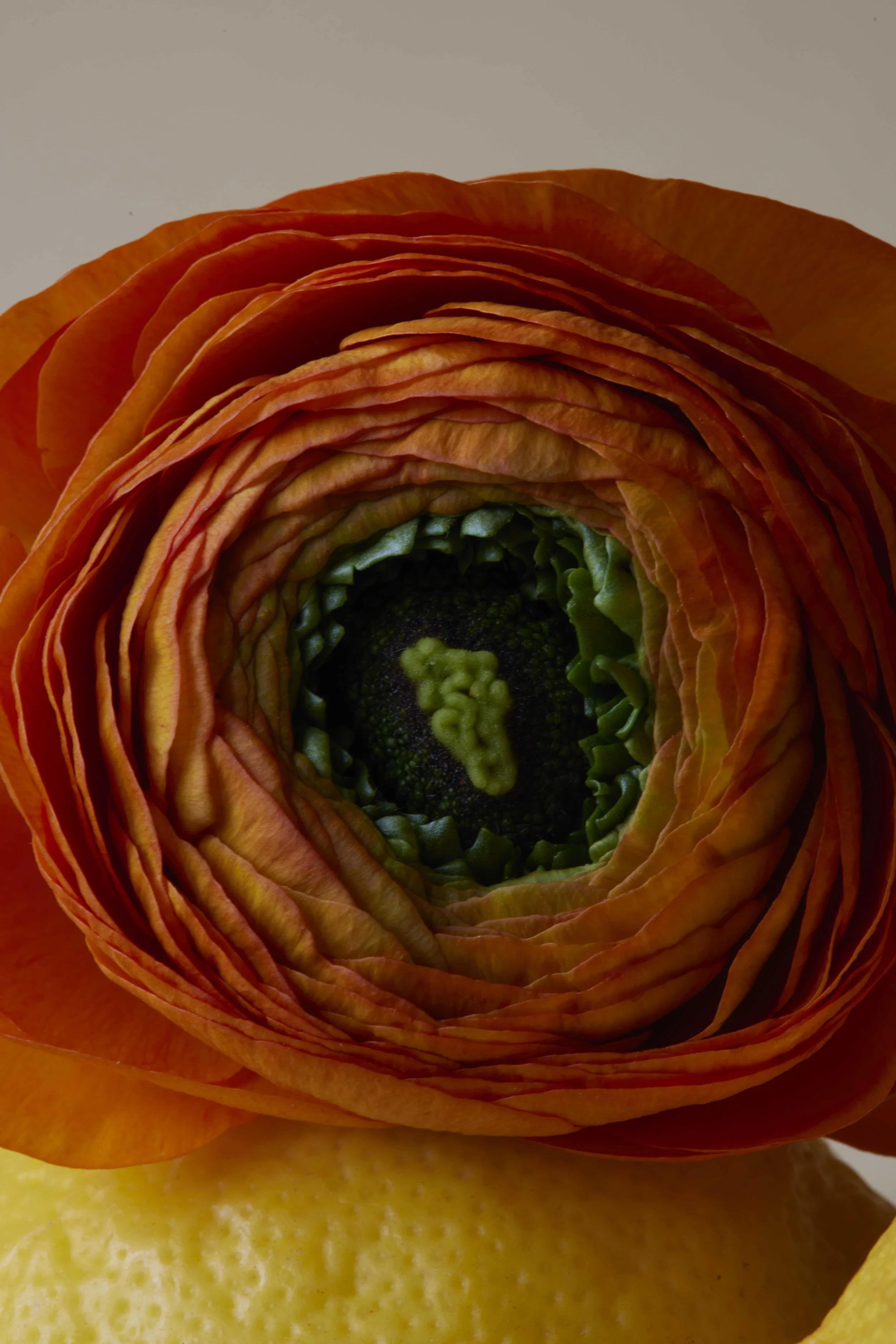 fonpro-rapport-2024- 1 copie.jpg