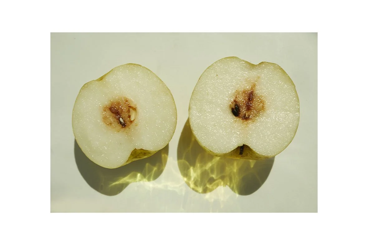 goldenyears copie.jpg