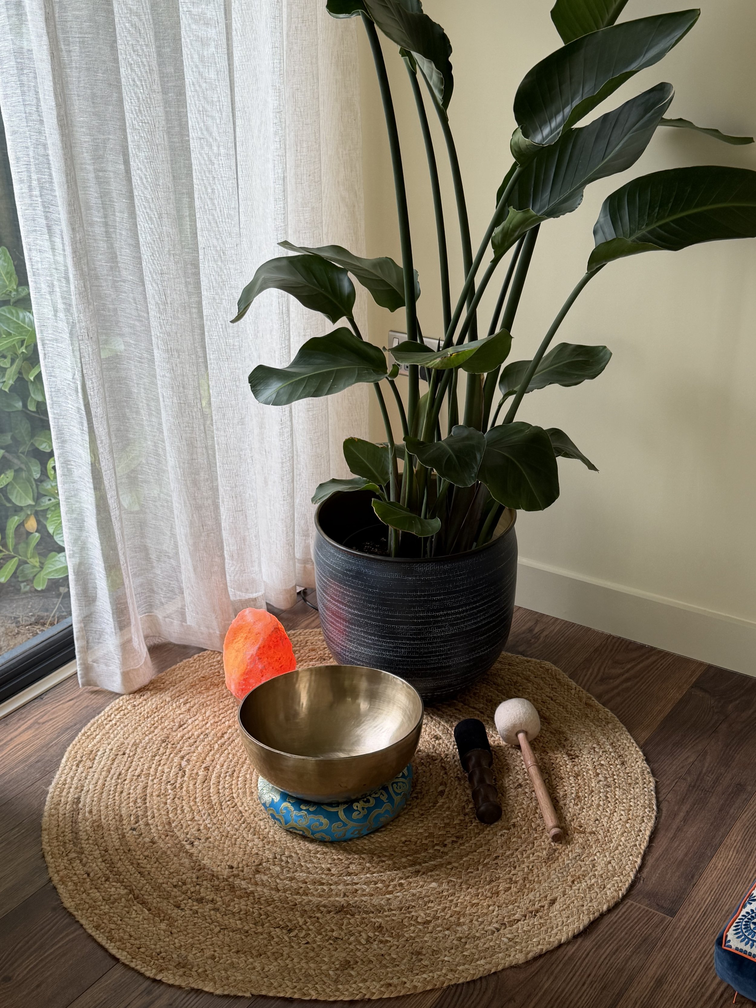 A round braided rug on a wooden floor with a large potted plant, salt lamp, Himalayan salt lamp bowl, meditation bowl, and mallet resting on it in truly.madly.yoga home yoga studio