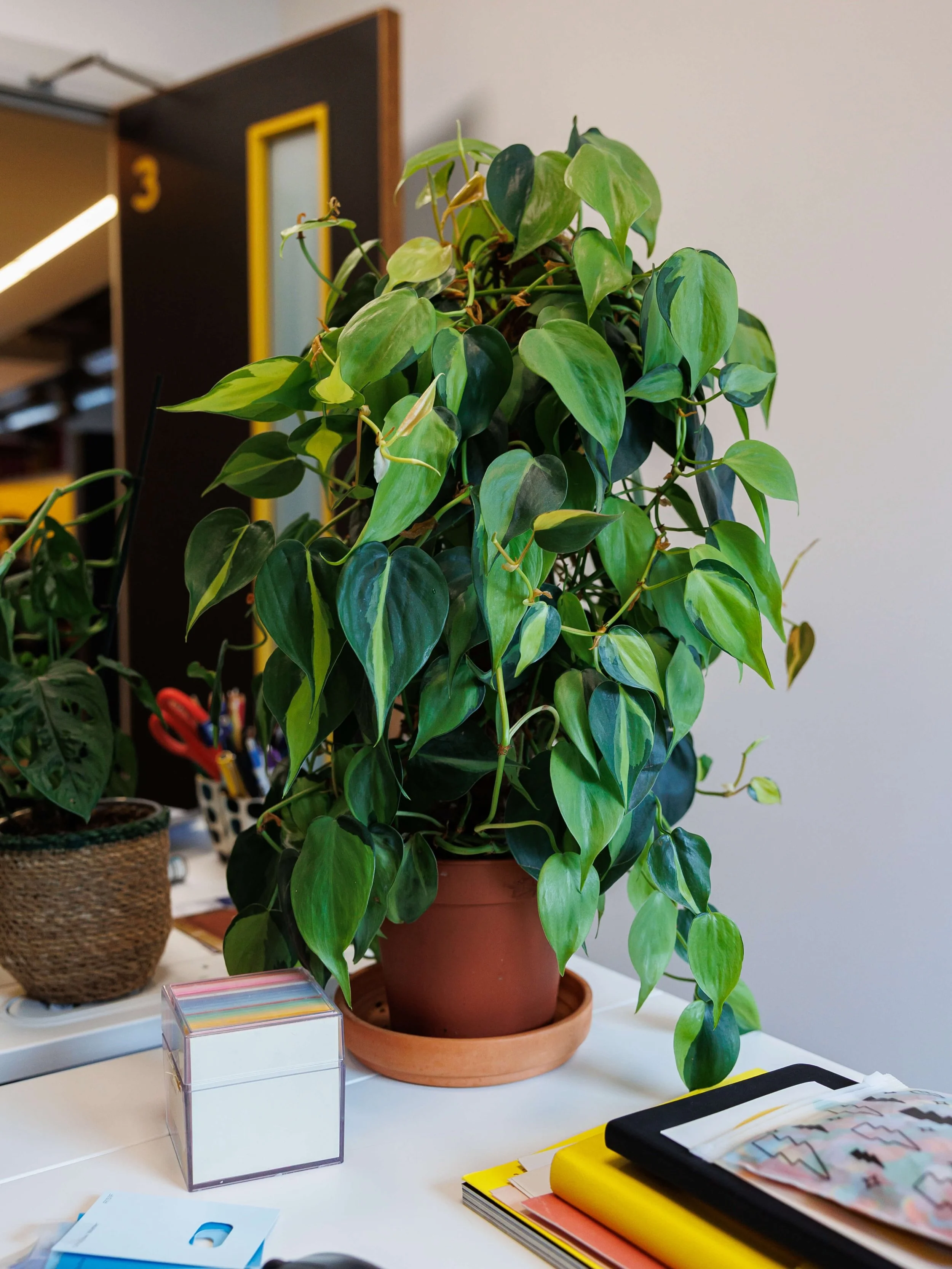 What if your business doesn&rsquo;t need more growth tactics? What if it just needs better soil? 🌱

We&rsquo;ve been thinking a lot about this lately.

You can&rsquo;t make a plant grow by pulling at its leaves, simple. You give it the right conditi