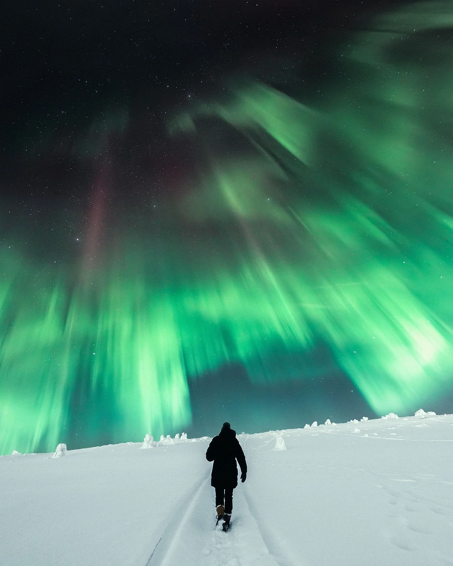 #northernlights #auroraborealis #levilapland #lapland #moonlight🌙