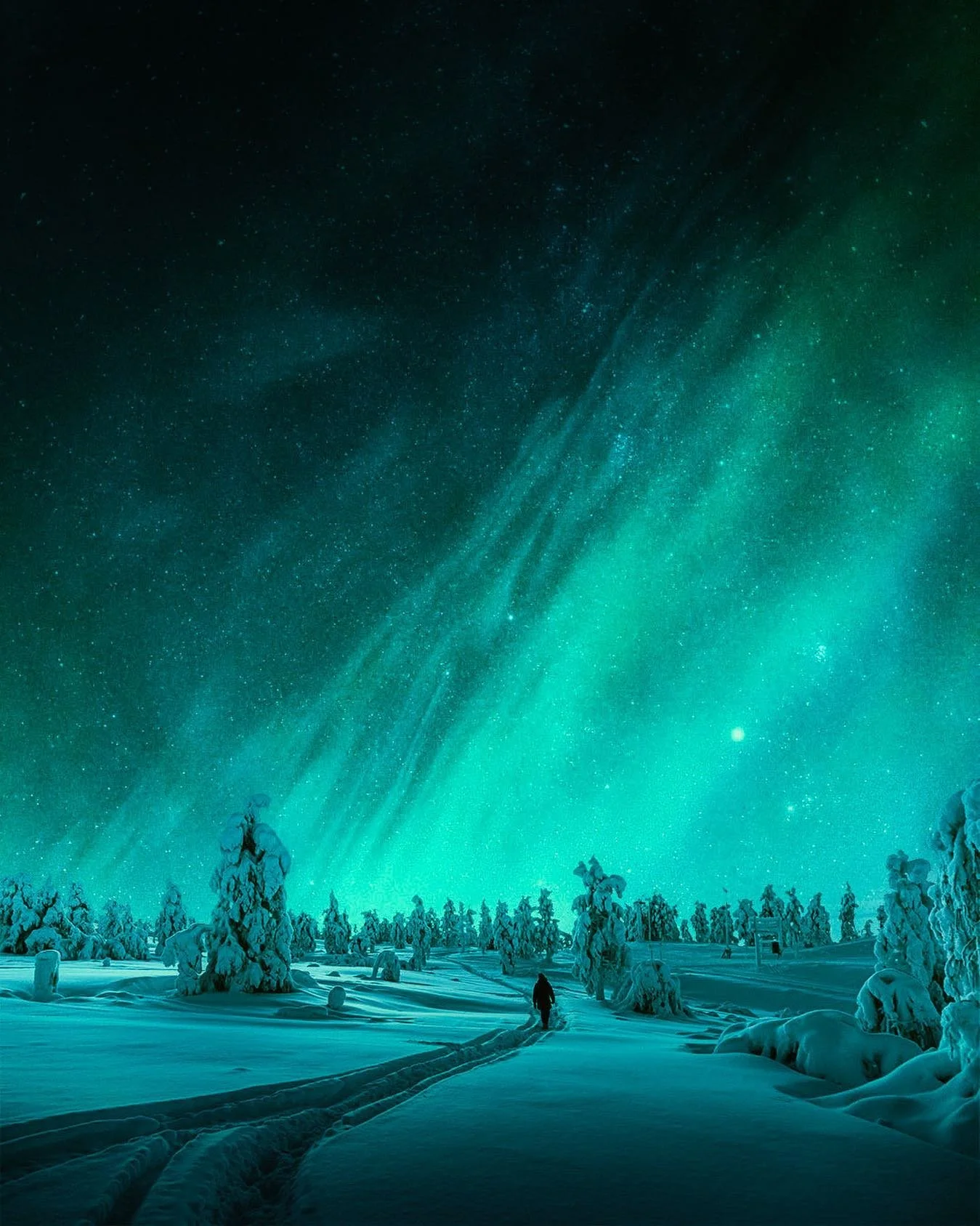 Finnish Lapland 🧩