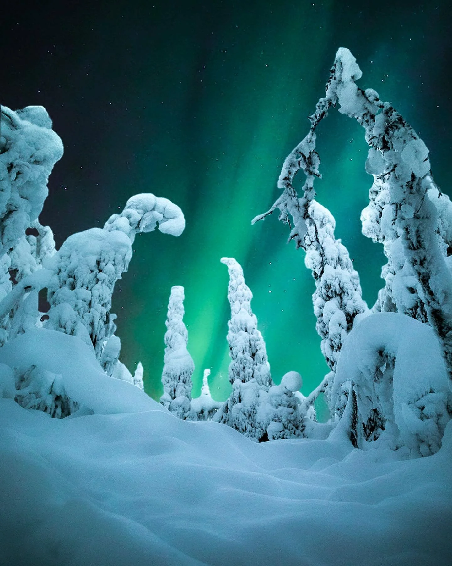Next trip to Lapland is already booked😍