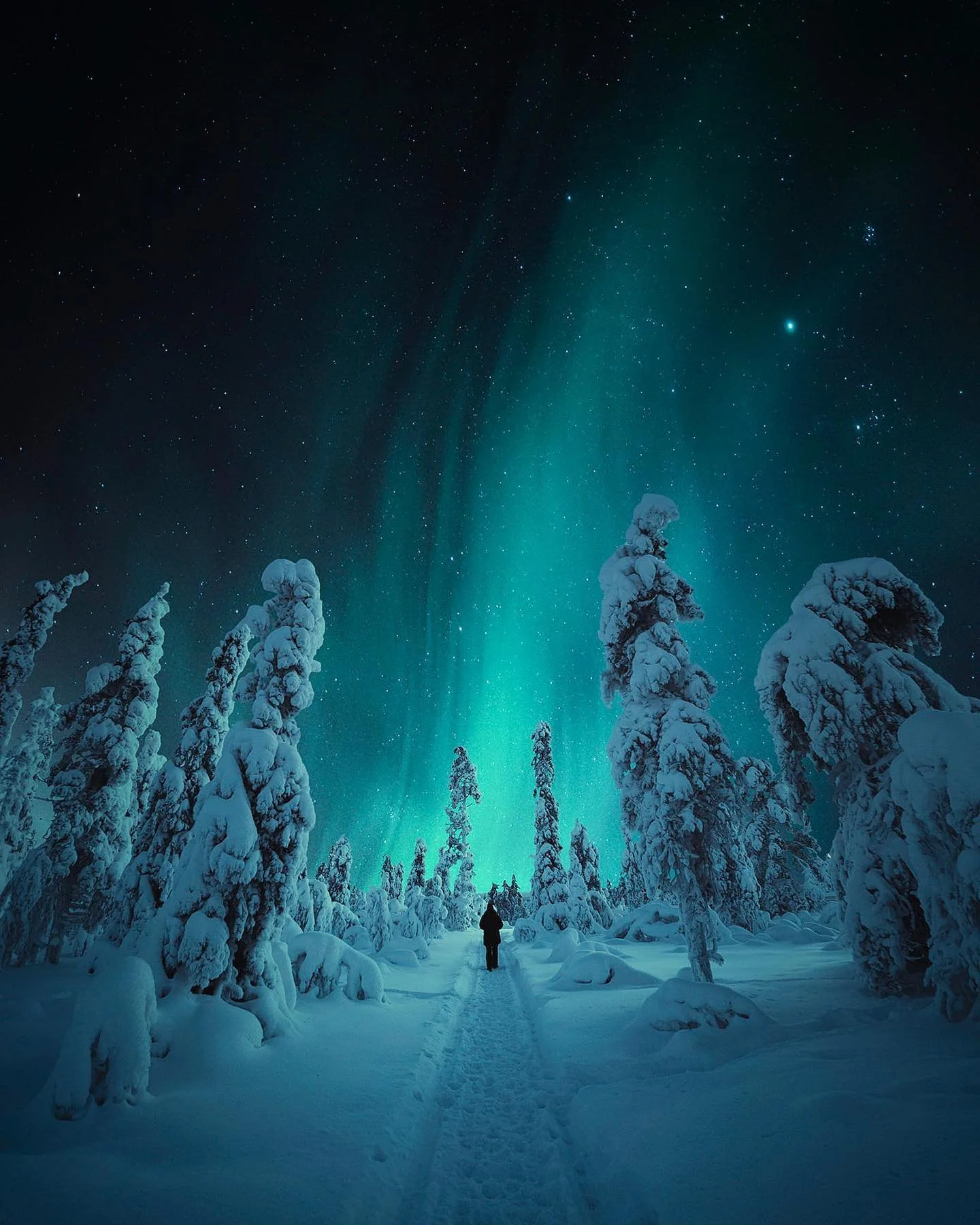 Finland truly is a winter wonderland 🇫🇮