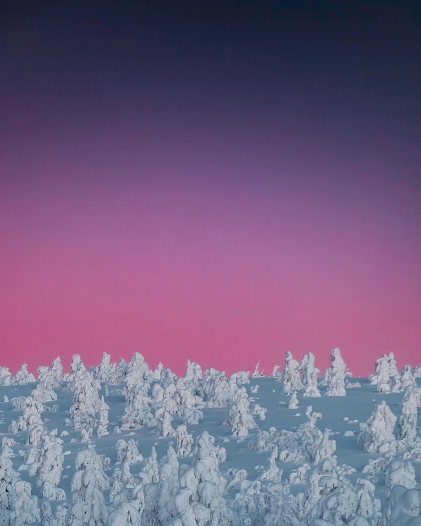 Dusk 🍬