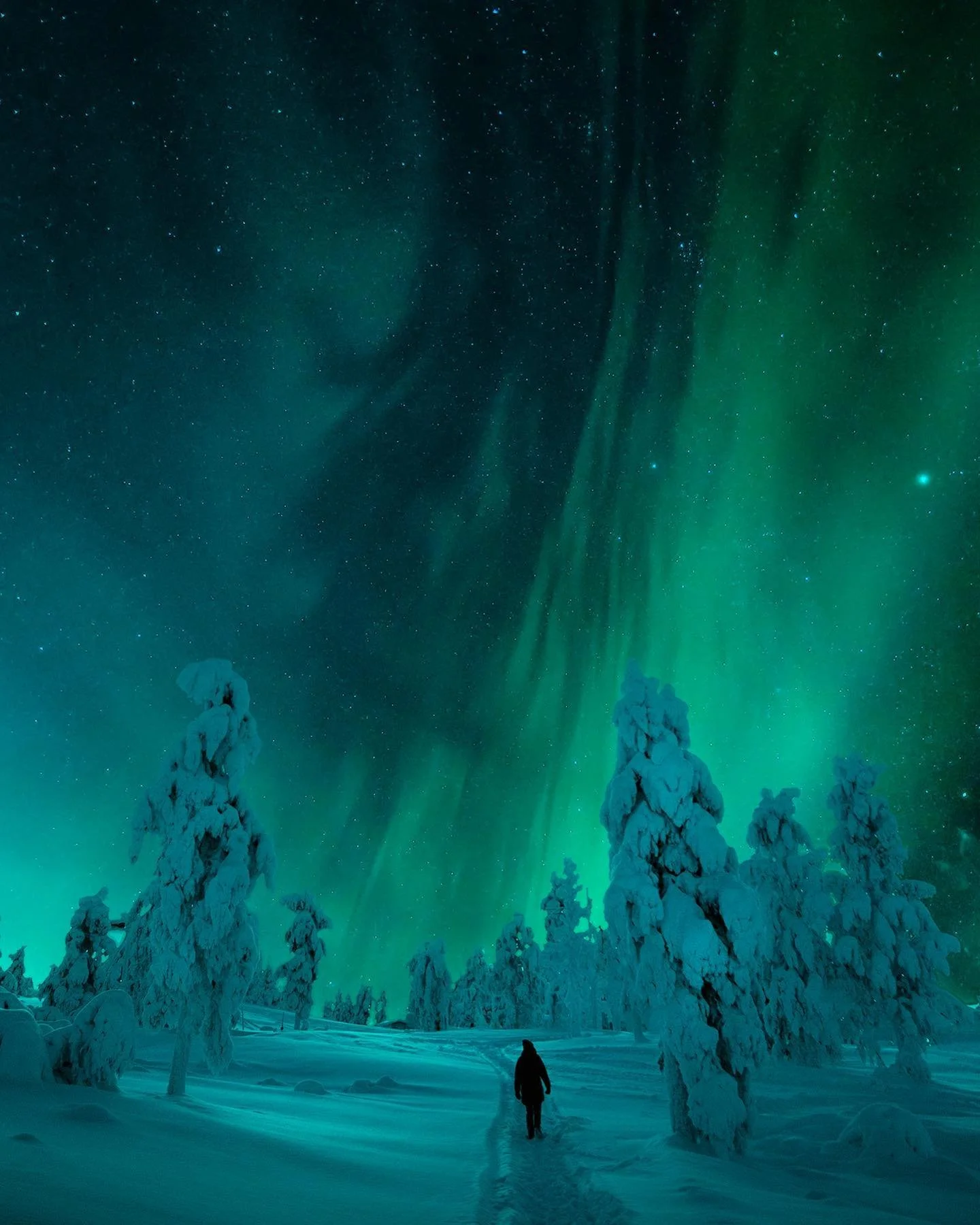 Under an Arctic Sky 🌌