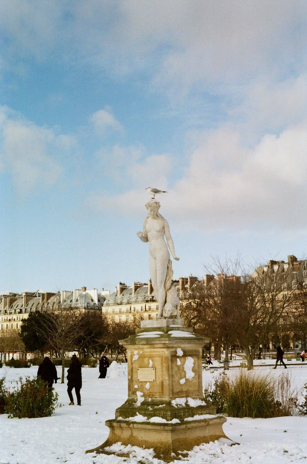 Diana and bird with snow