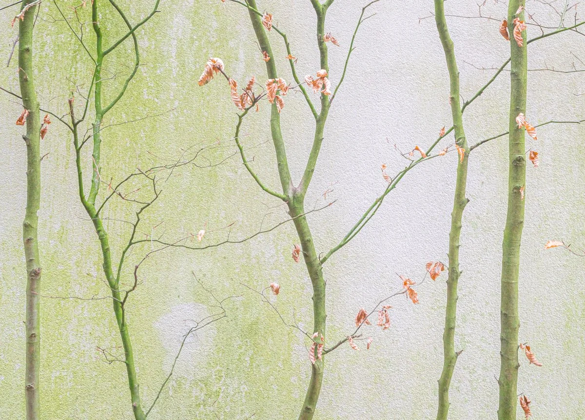 Leven vanuit je diepste verlangen – wanneer kernwaarden richting geven.