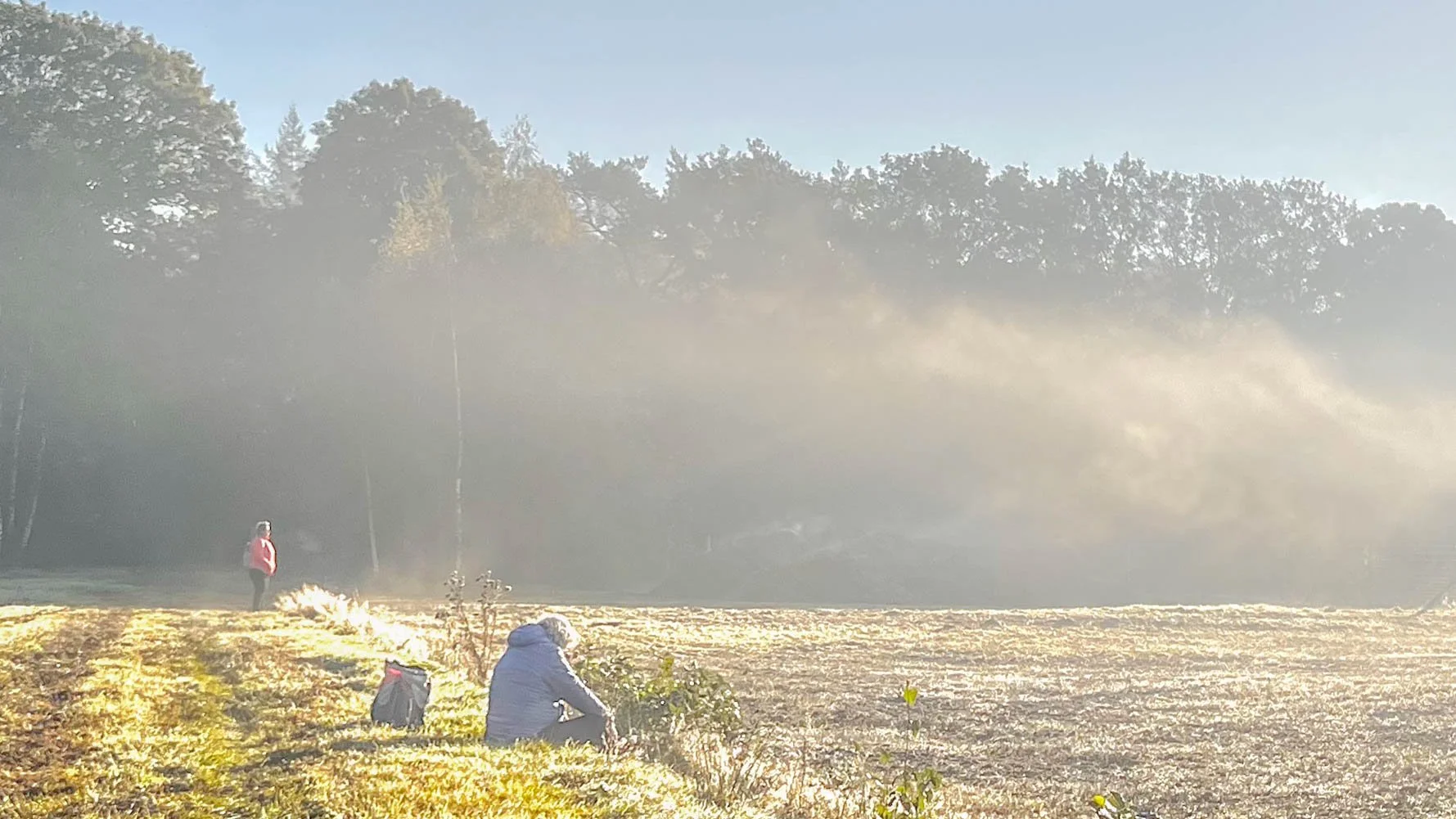 Verstilde ervaring in natuur en beeld. Visionboard.