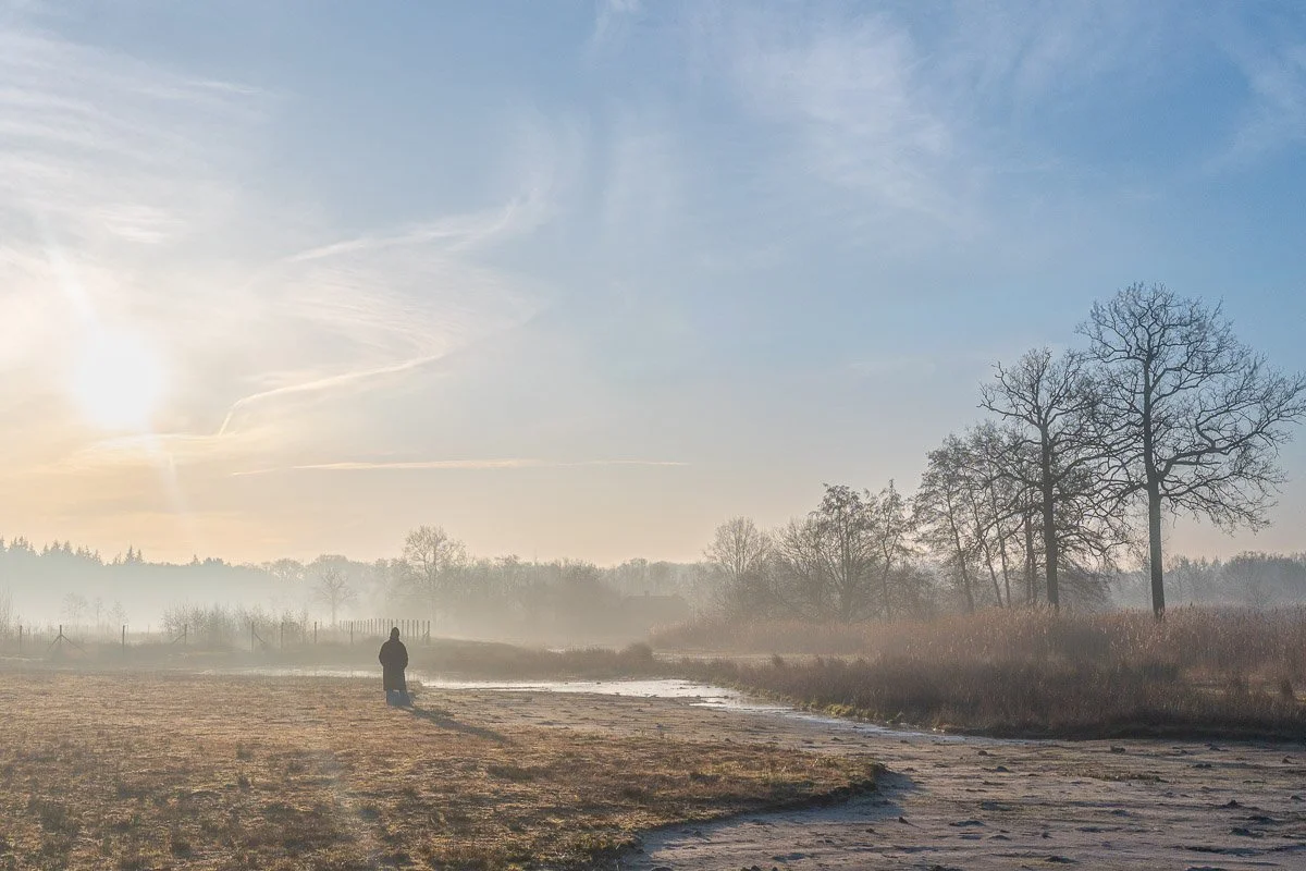 Verstilde ervaring in de natuur; zie en ervaar je kernwaarden