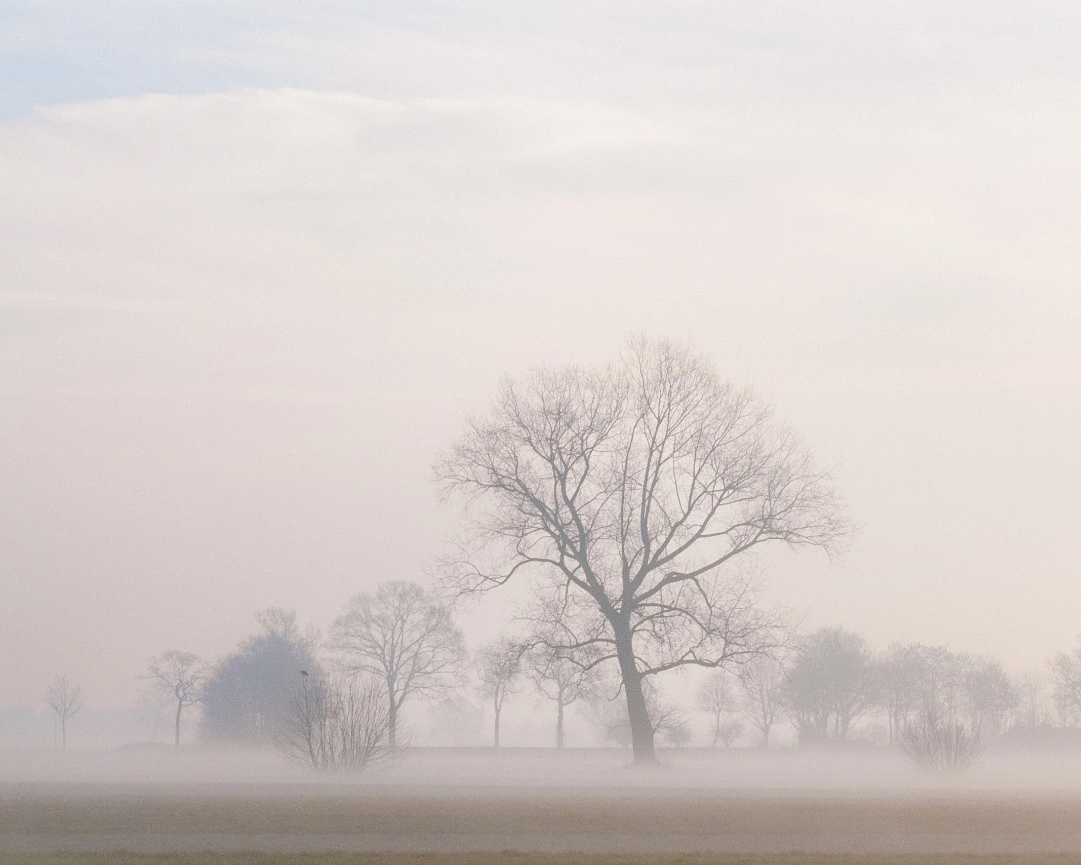 Terug naar je ware natuur: over imperfectie en echt verbinden