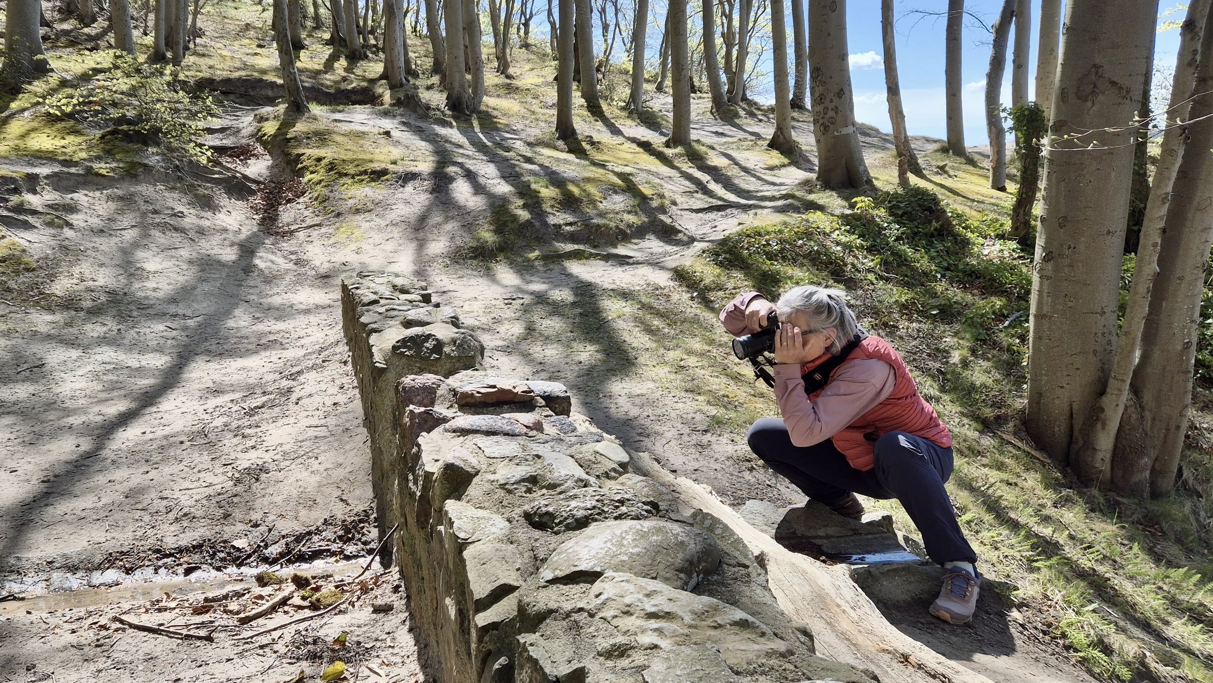 Hoofd, handen en hart: de kunst van het natuurcoachen