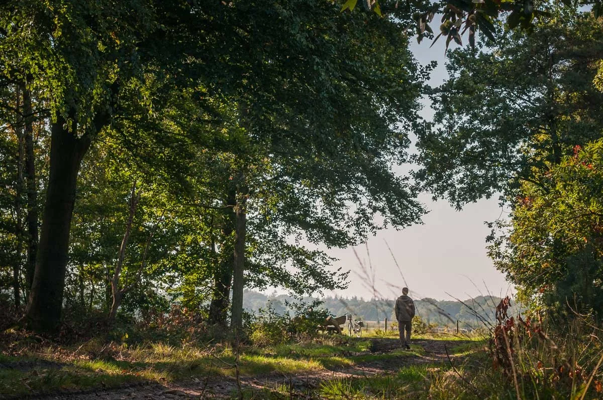 De Vrije Val van het Zijn: Wat Steve McQueen en het Bos ons Leren over ..