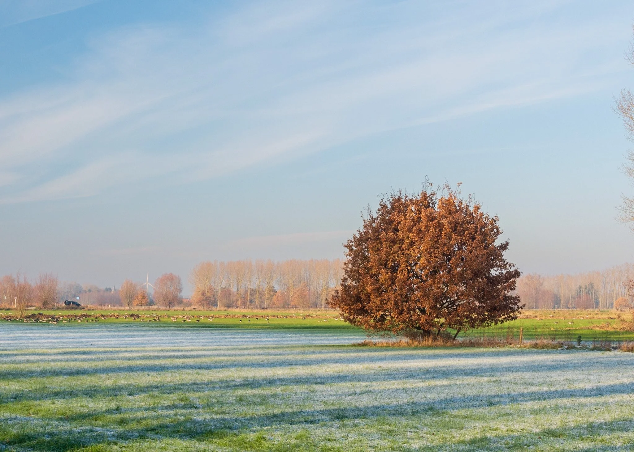 Mindful Fotografie Wandeling. Van Kijken naar Voelen