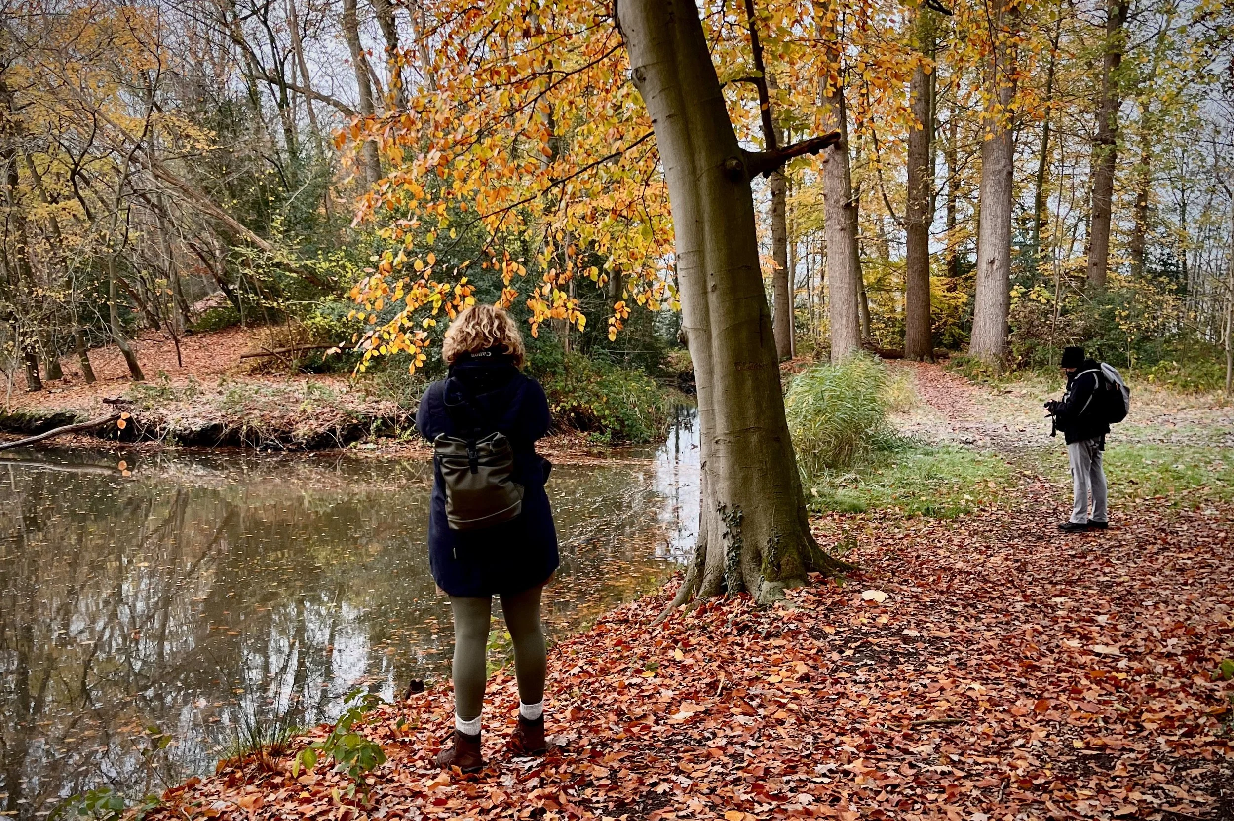 Verstilde Ervaring in Natuur en Fotografie; Herfst