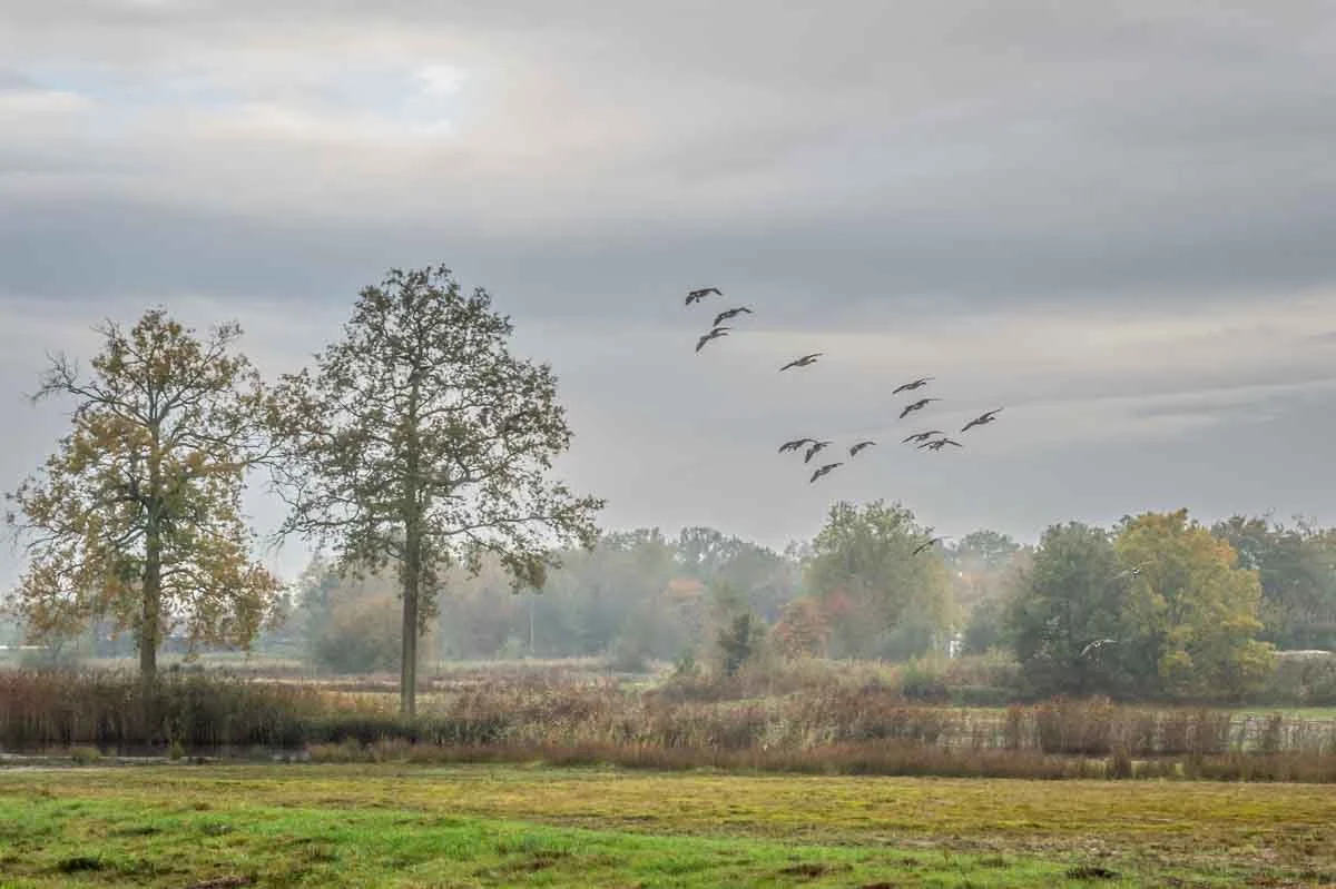 Wie ben jij als de storm gaat liggen?