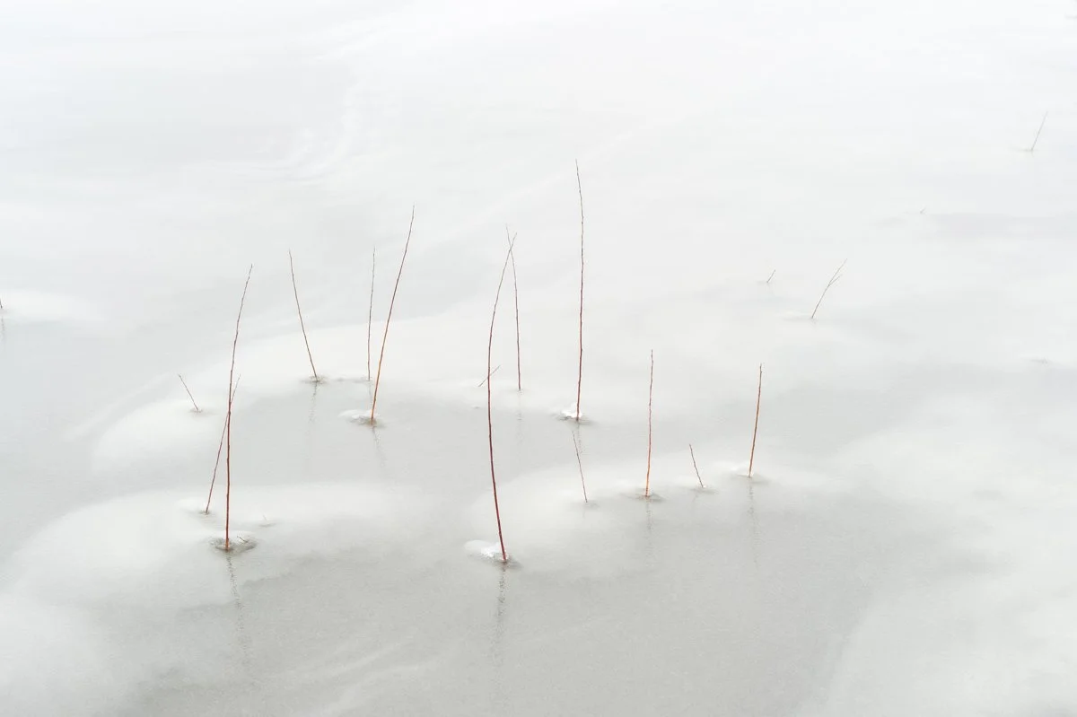 20210207-minimal world0001.jpg