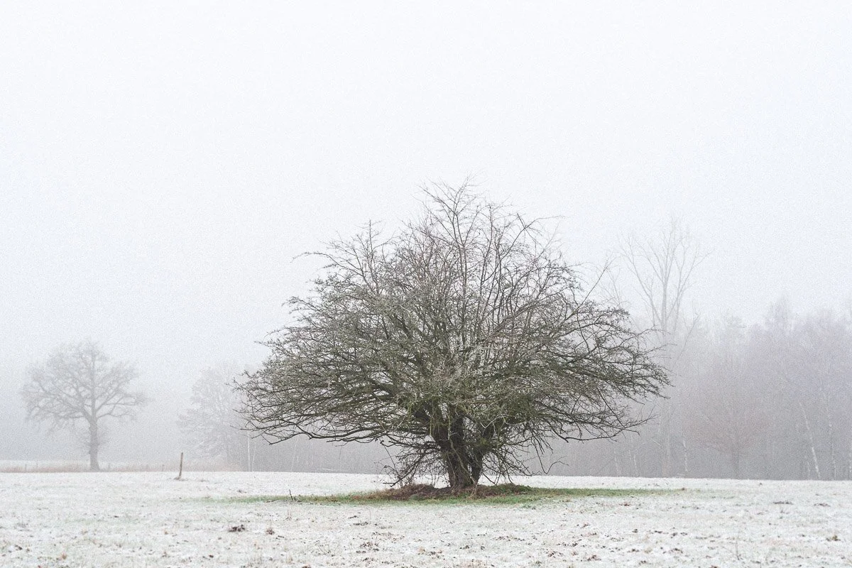 een-samen_bos-natuur-estherzandbergen.jpg