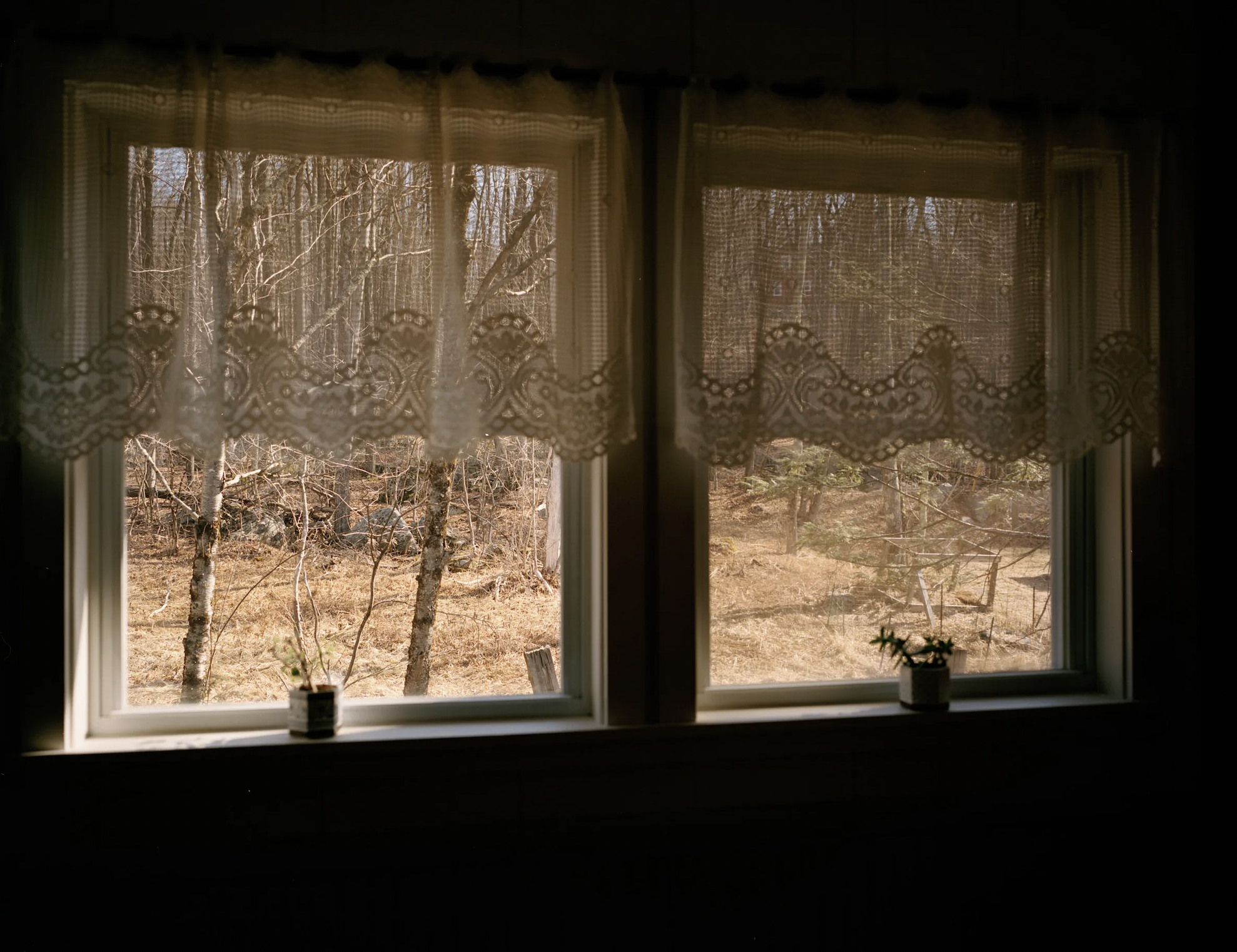 Screen Shot 2025-07-05 at 3.02.14 PM.png