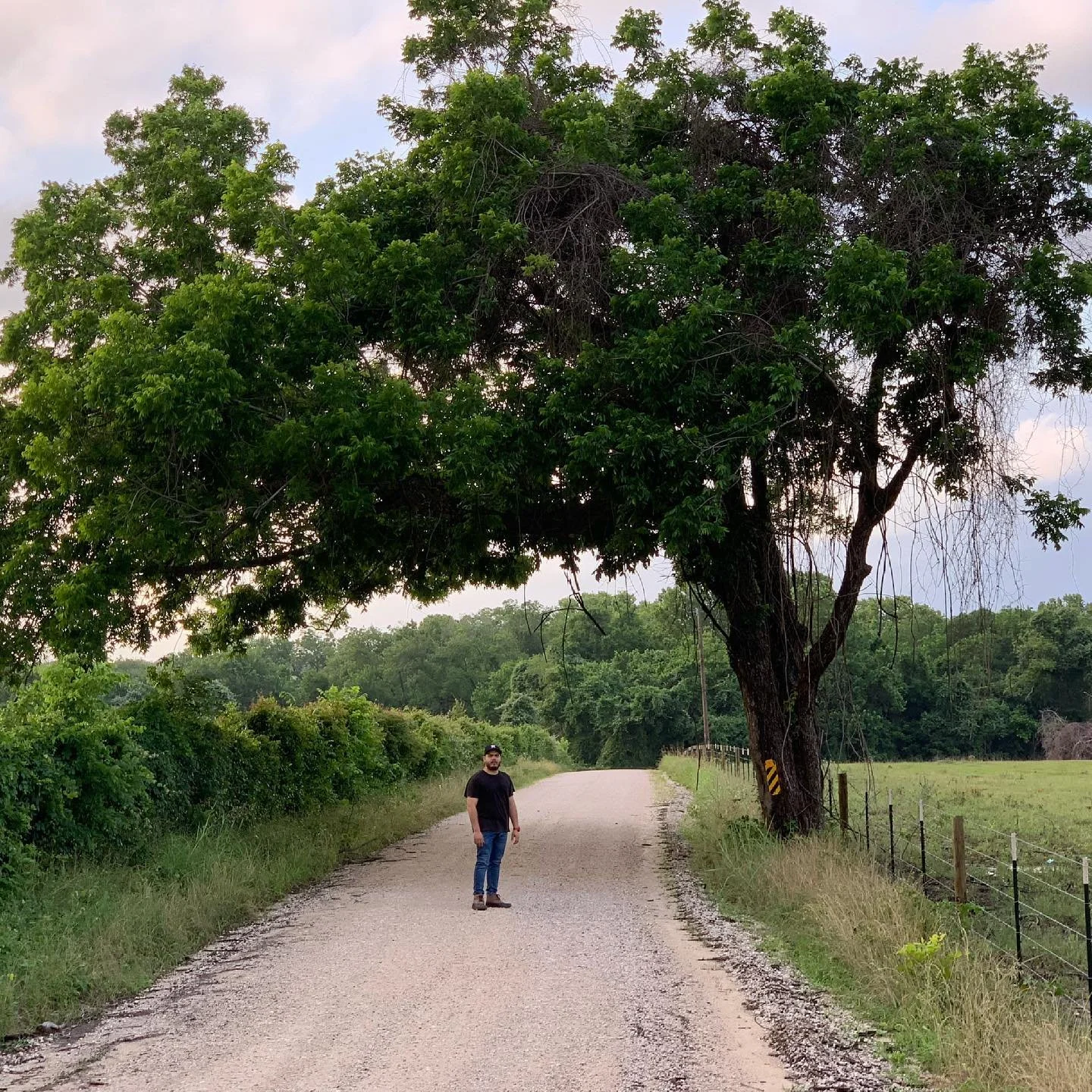 Delivering trees to a customer in Chapel Hill, TX 🌿 Let us know if you need a tree or plant load delivered anywhere in Texas, we will make it happen ✔️281-844-0534