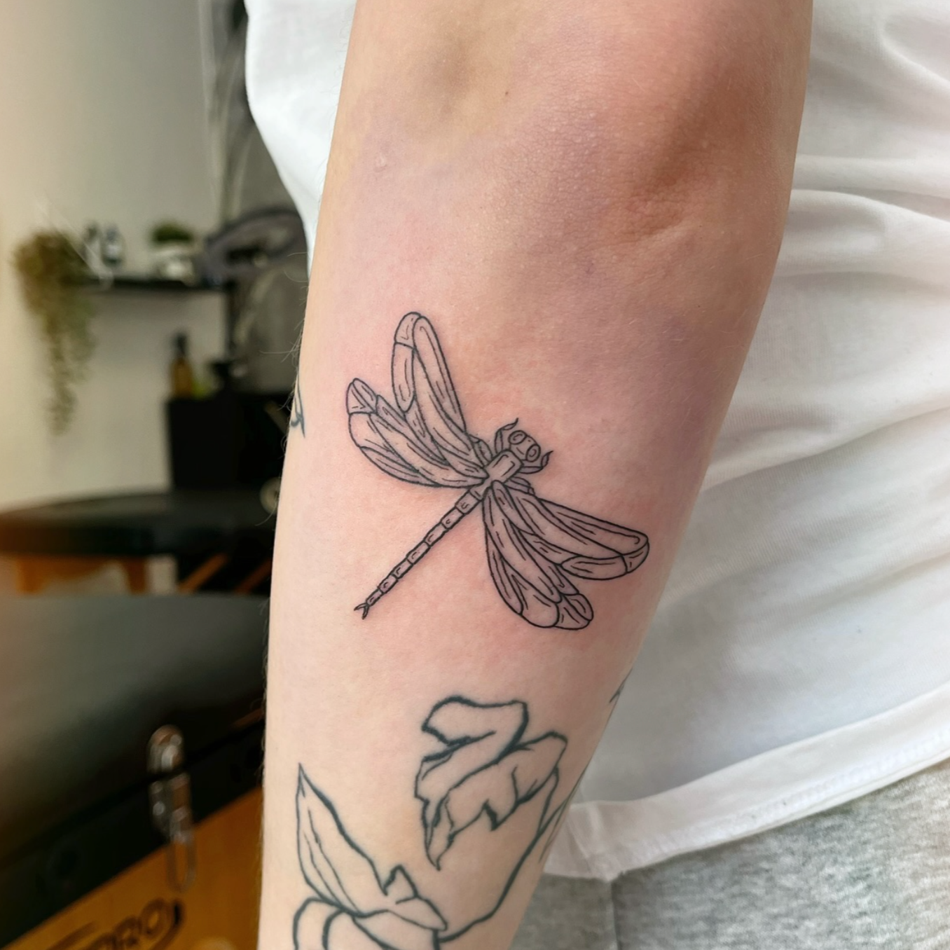 Tattoo of a dragonfly with detailed wings on a person's forearm.