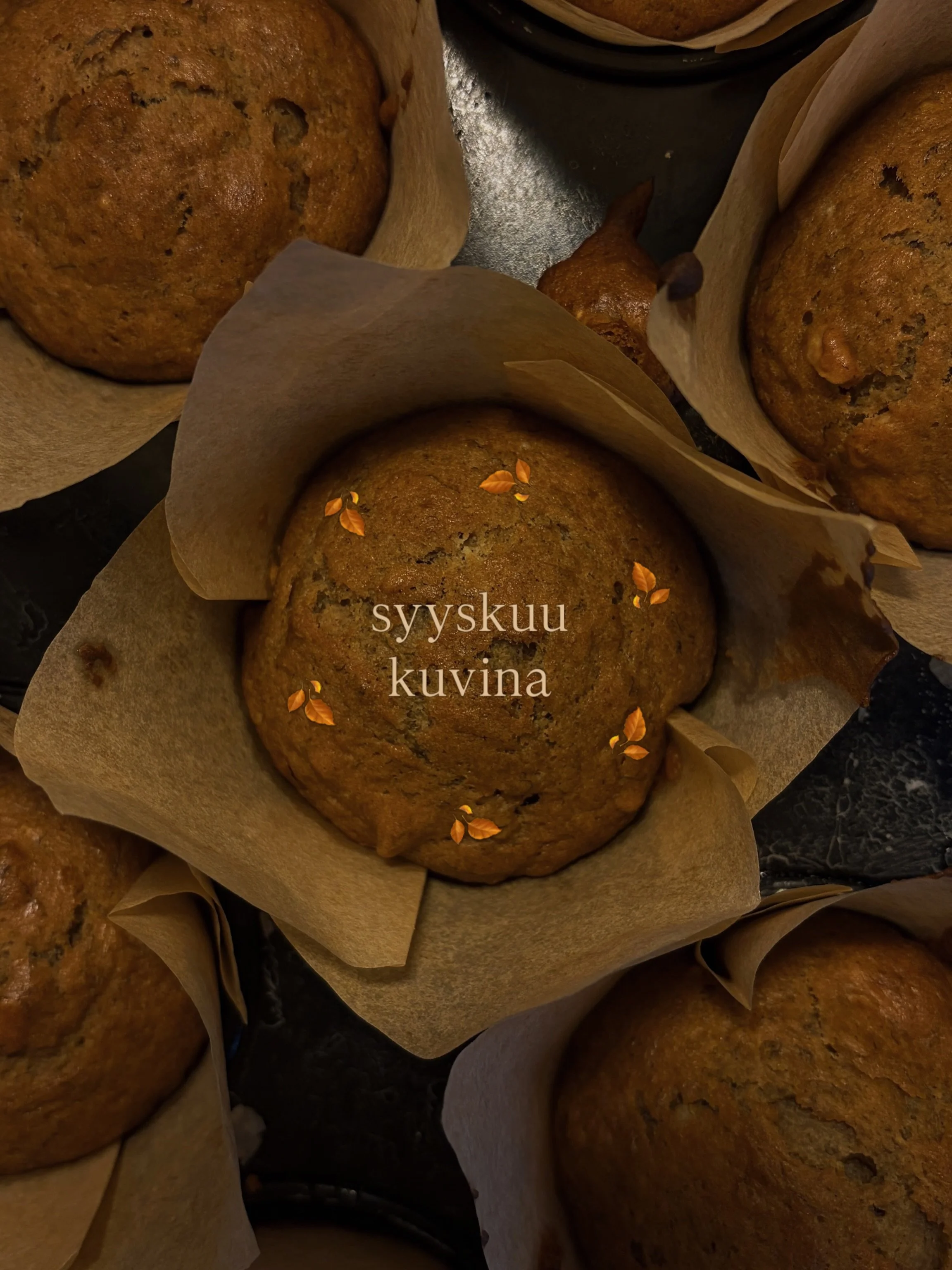 🍂 syyskuu kuvina! 🍂
//
#syyskuu #syksy #kirjagram #hyvinvointi #krooninensairaus 

oon pienen tauon j&auml;lkeen p&auml;&auml;ssy taas lukemisen pariin! tuntuu et keskittymiskyky alkaa riitt&auml;&auml; taas 📚 
t&auml;ss&auml; kuussa ehin lukemaan