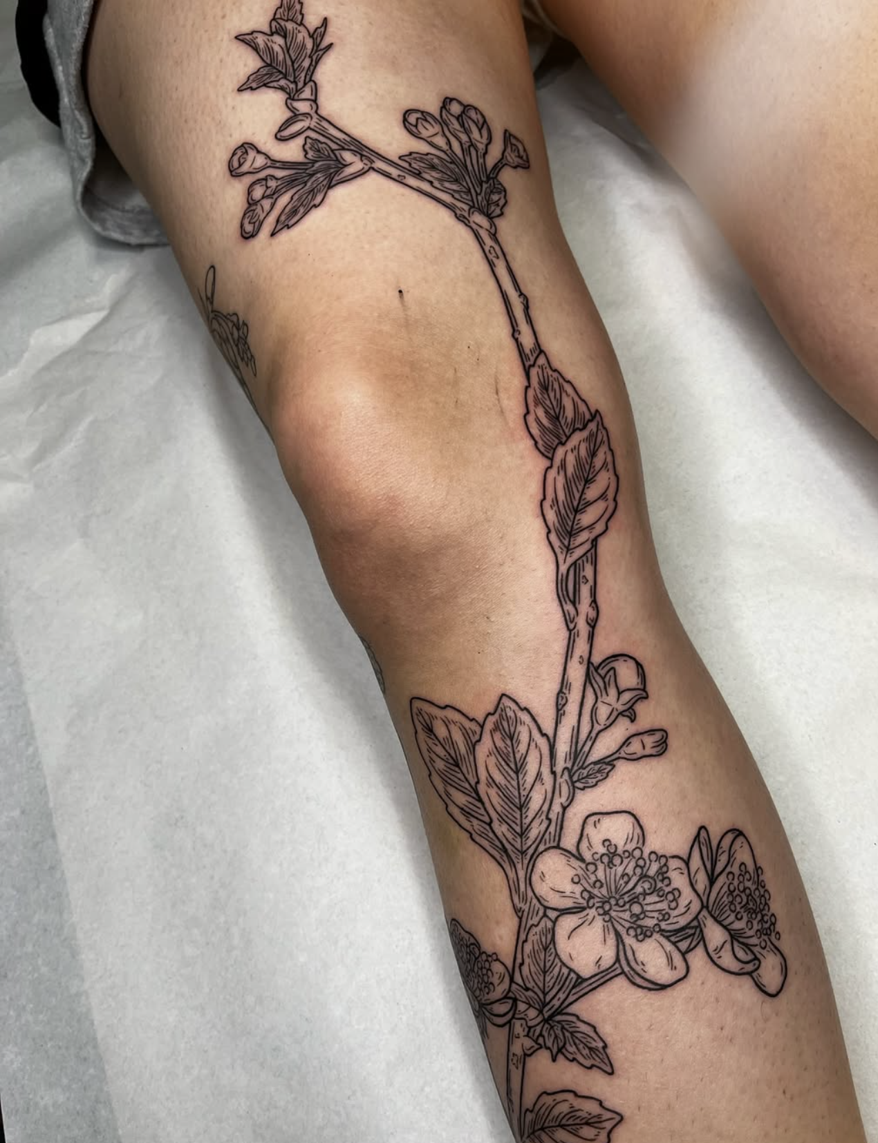 Black outline tattoo of a flowering plant with leaves and blossoms on a person's leg.