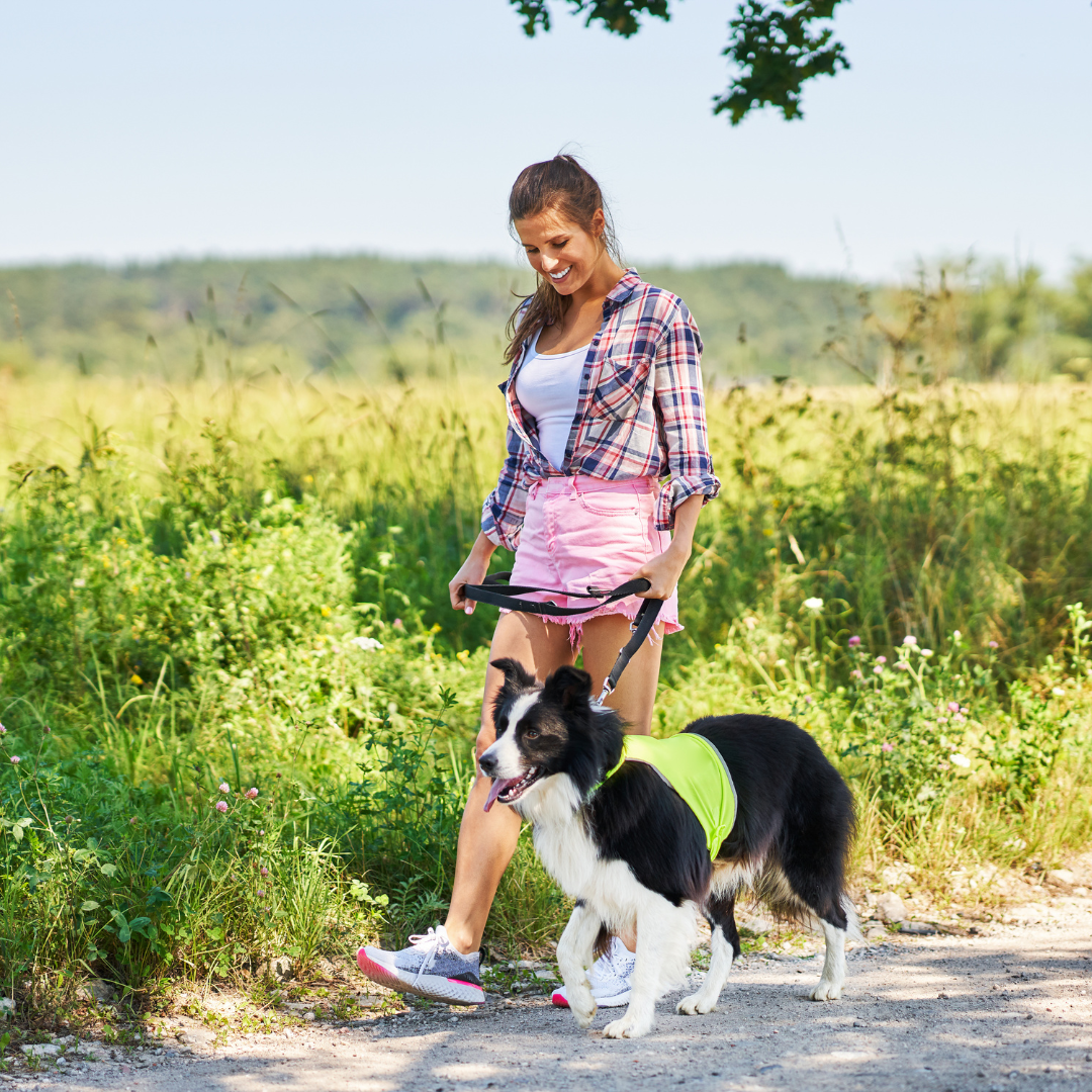 Why Daily Dog Walking and Recurring Care Create Calmer, Happier Pets