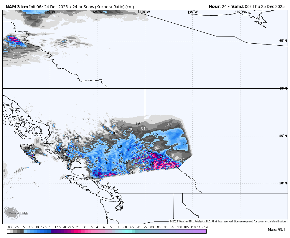 Map showing snow accumulation in Alaska, with color gradients indicating the depth in centimeters. The highest snow levels are concentrated in the southeastern part of the state, with areas marked in pink and purple representing around 93 centimeters of snow. Other regions show varying snow depths, with some areas depicted in shades of blue, gray, and black.