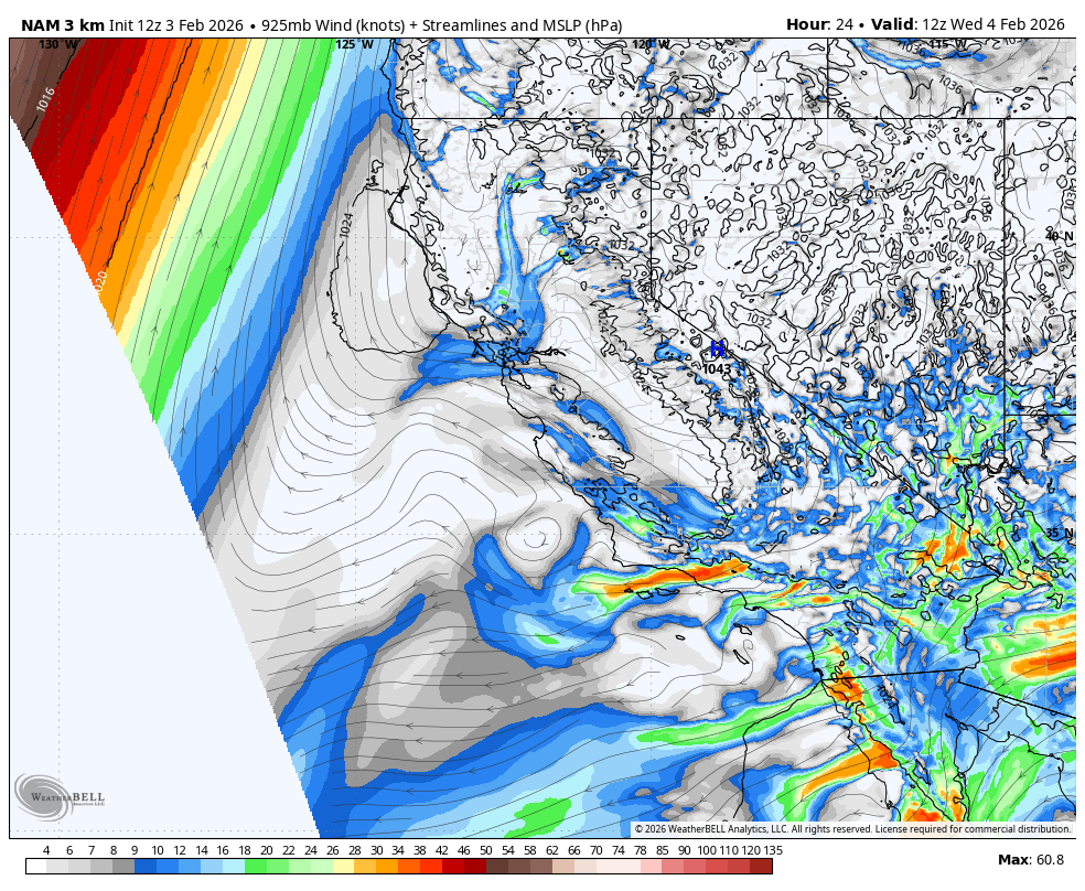Weather map showing wind speed in knots, streamlines, and mean sea level pressure in hPa. Color-coded pressure gradient and wind patterns over the Gulf of Mexico, southeastern US, and parts of Central America. The map indicates areas of storm activity with different wind intensities and pressure systems.