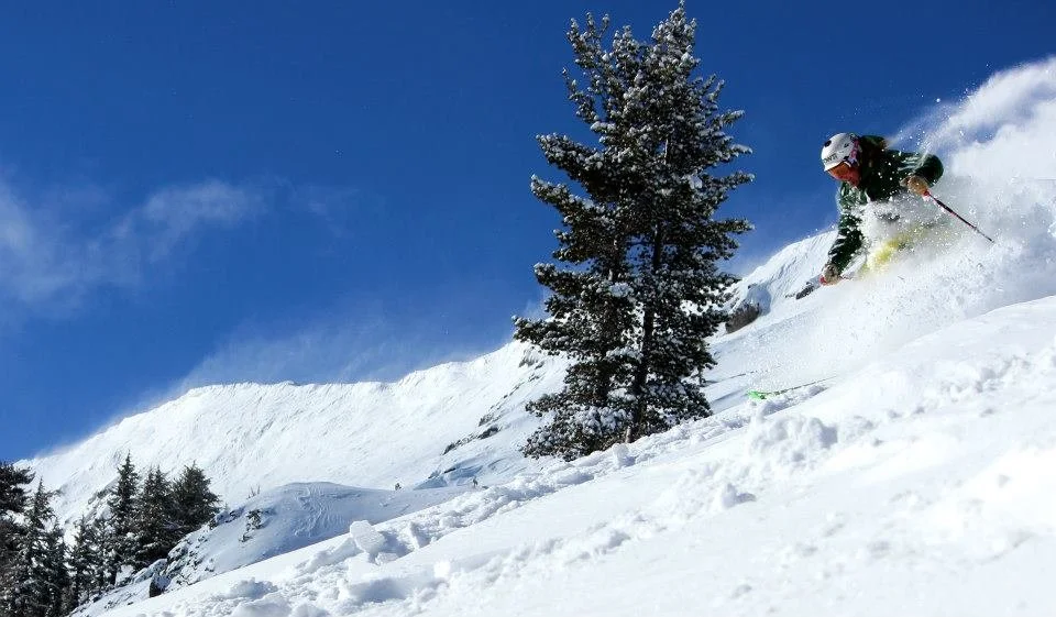 A person skiing downhill on a snowy mountain slope with a clear blue sky, a snow-covered tree, and distant pine trees in the background.