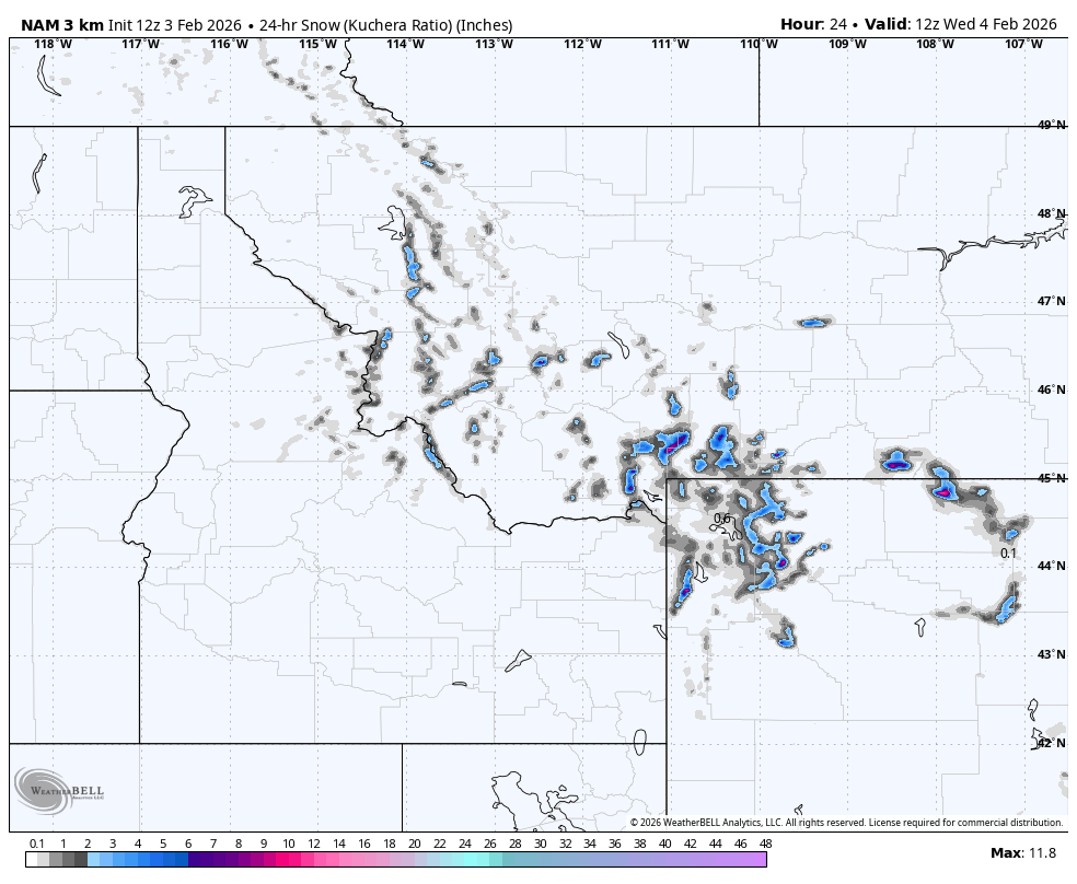 Map showing snow accumulation in inches across parts of the western United States as of February 4, 2026, with areas of higher snow depth in blue and scattered locations of snow in gray.