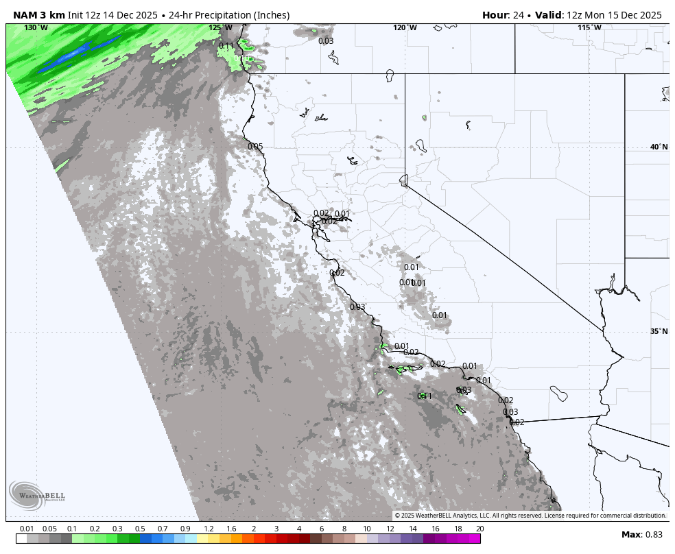 Map showing 24-hour precipitation forecast in California and surrounding areas, with higher rainfall indicated in green and lower in gray.