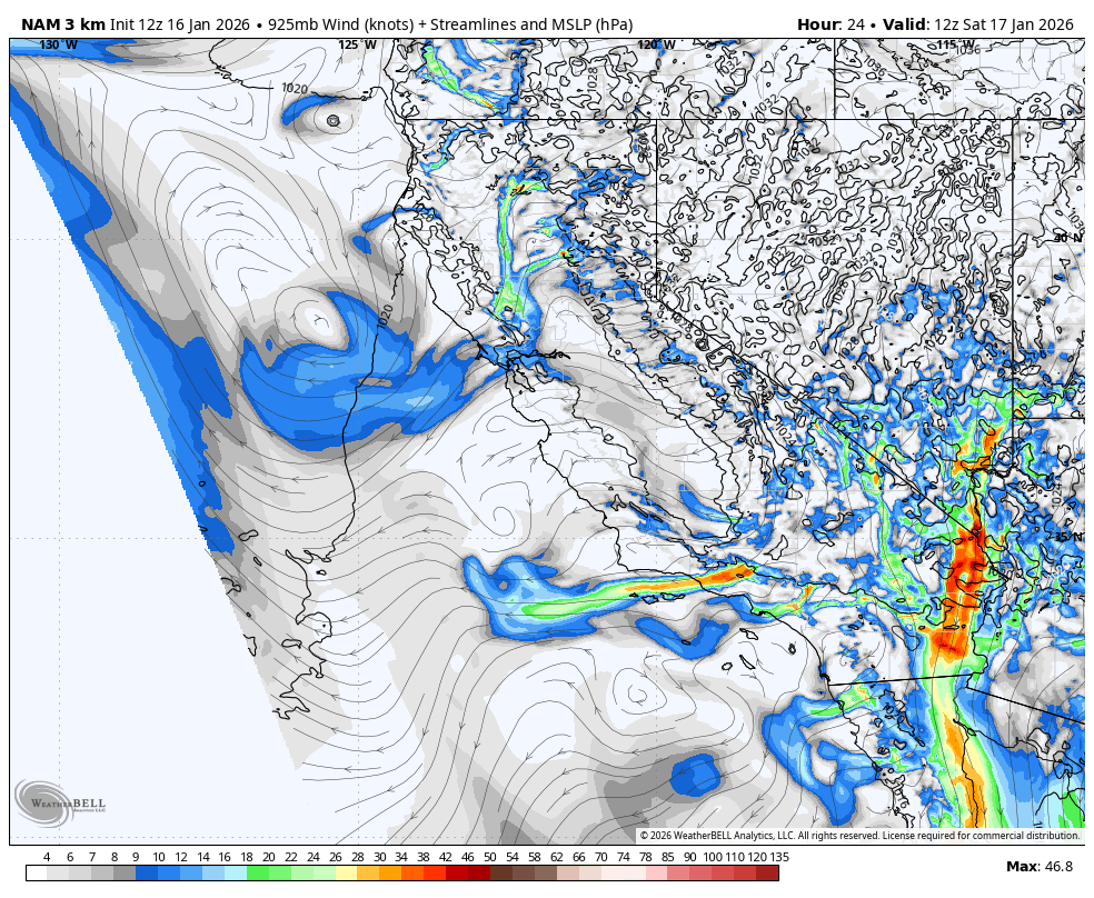 Weather map showing wind patterns, streamlines, and precipitation forecast over California and surrounding areas for January 17, 2026, at 12 UTC, with a low-pressure system near California indicating storm activity.
